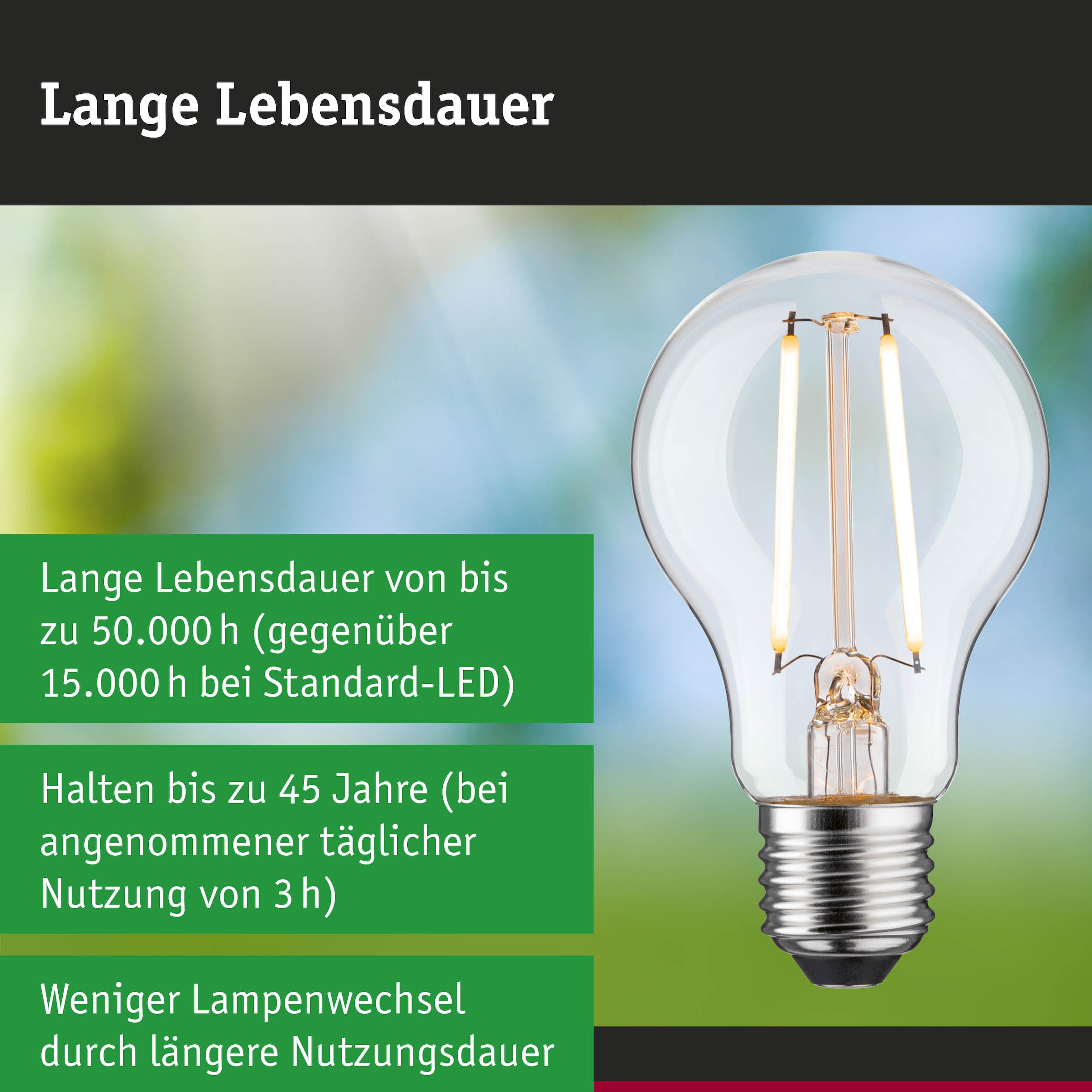 Paulmann LED-Leuchtmittel »Efficient-Line AGL 470lm 2,5W 3000K klar 230V« E27 1 Stk. Warmweiß