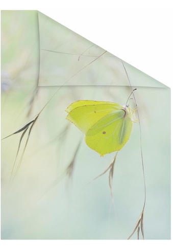 Fensterfolie »Schmetterling Grün«, 1 St., blickdicht, strukturiertKlebepunkte