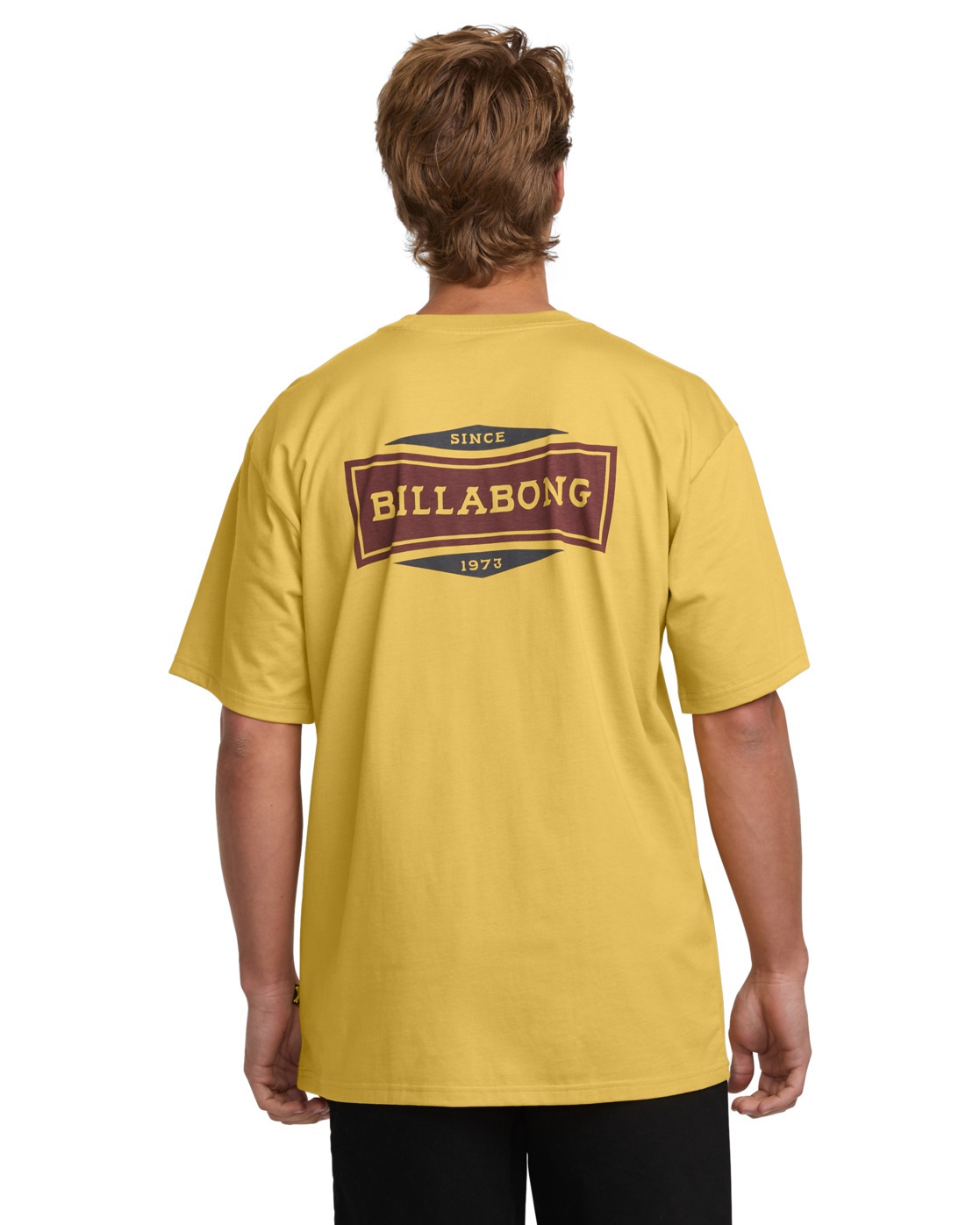 Billabong T-Shirt »Walled«