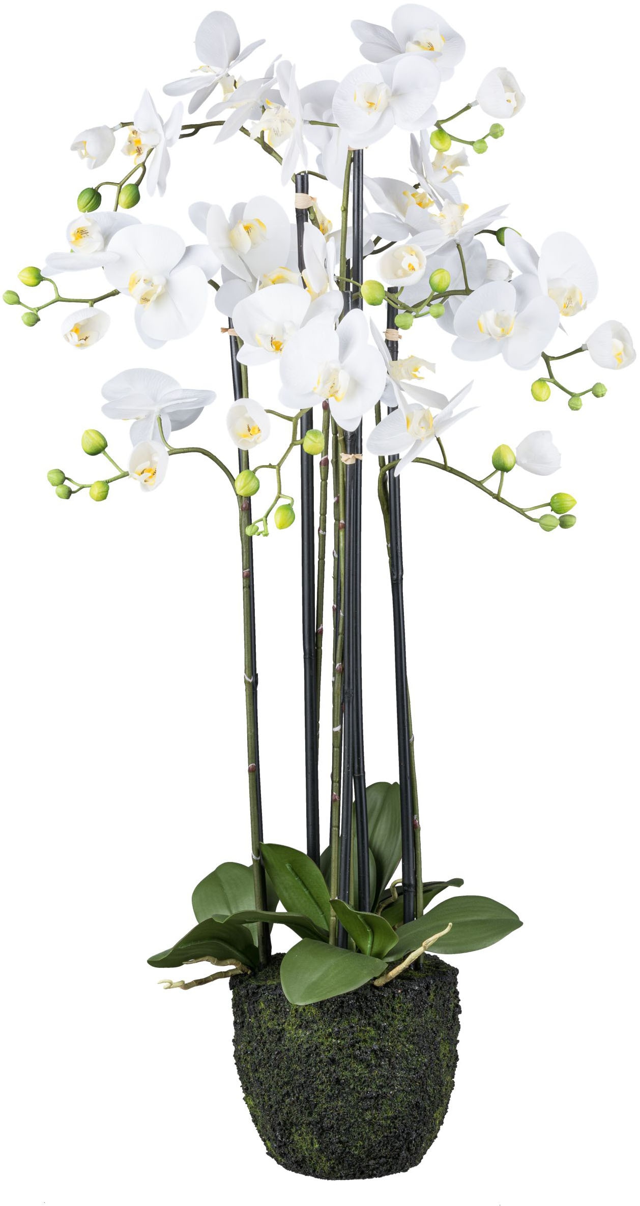 Kunstorchidee »Orchidee Phalaenopsis«, im Erdballen und mit real-touch-Blüten