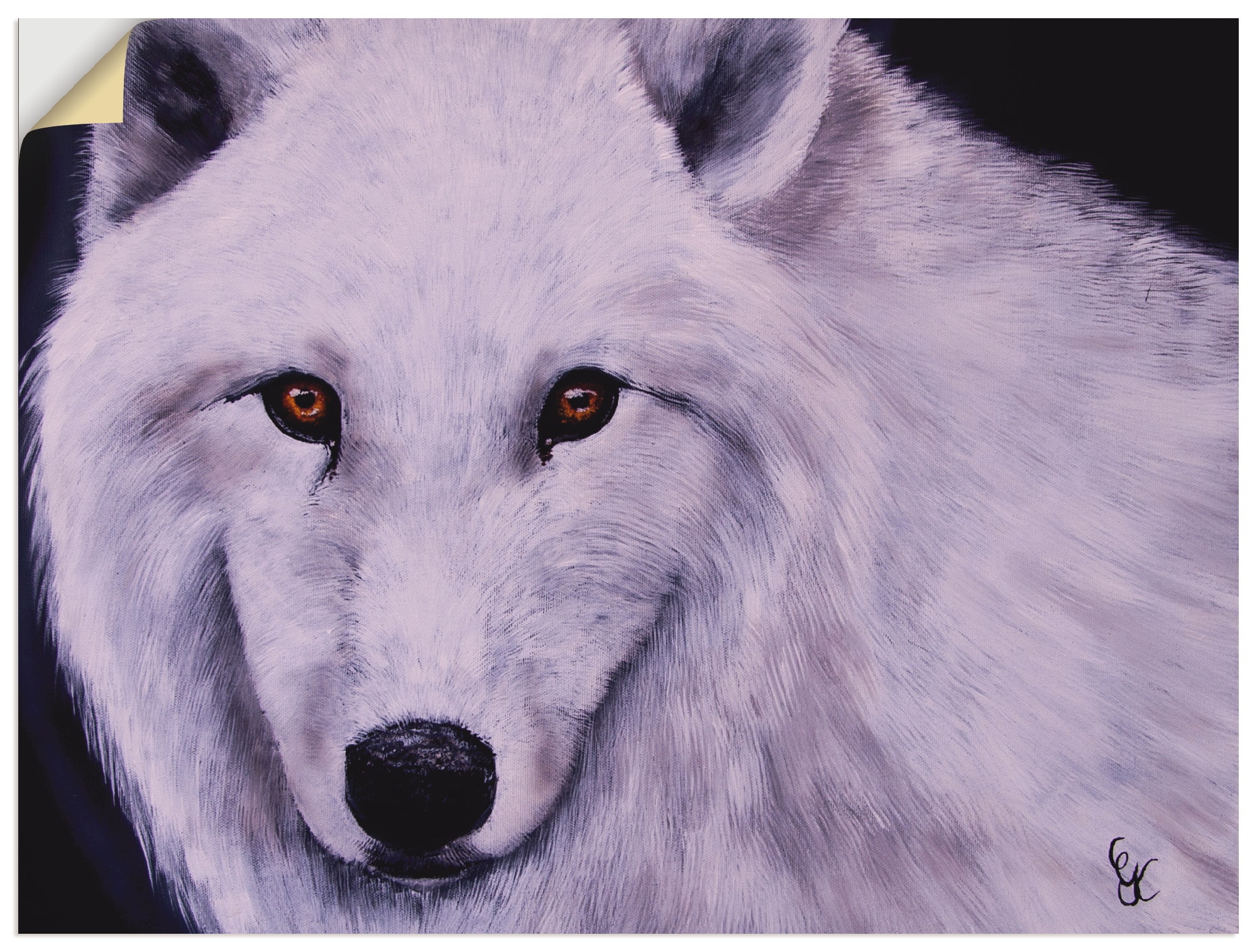 Artland Wandfolie "Weißer Wolf", Wildtiere, (1 St.), selbstklebend