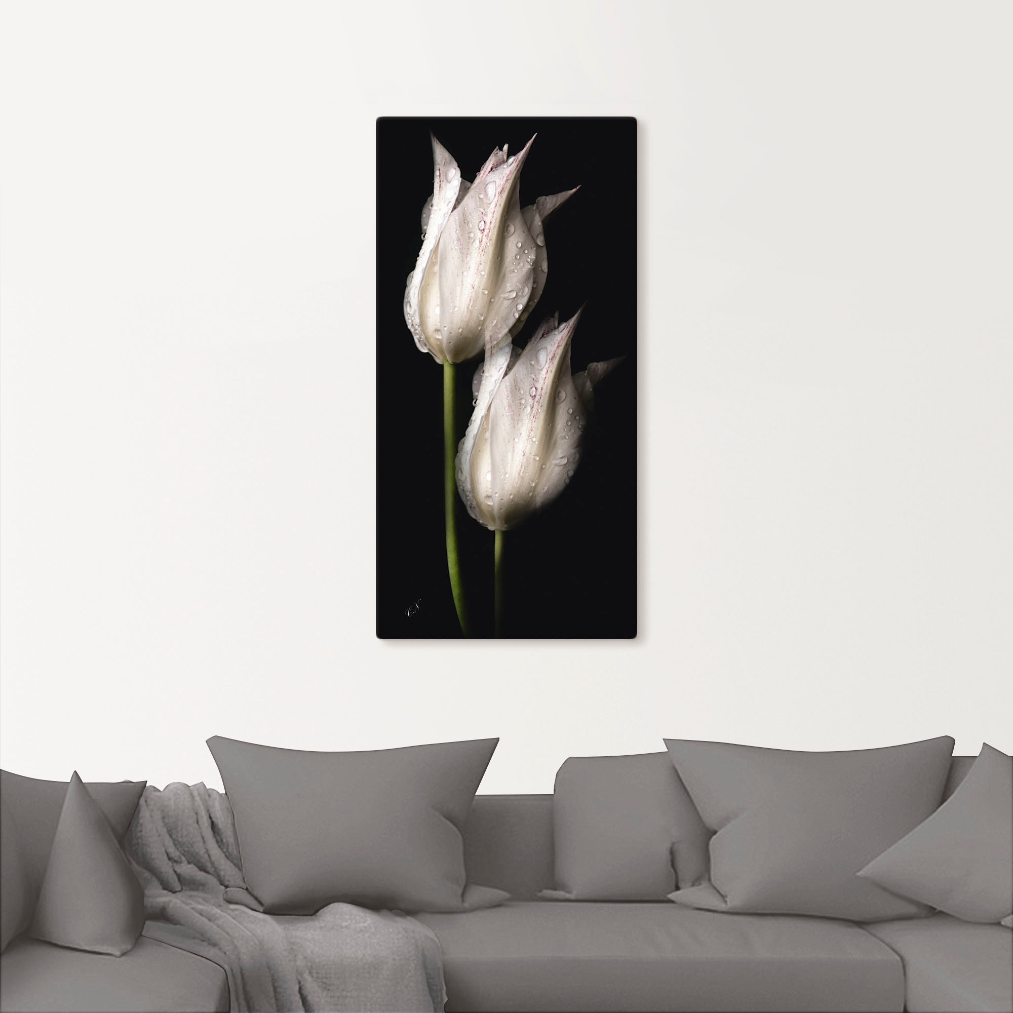 Artland Wandbild »Weiße Tulpen in der Nacht«, Blumenbilder, (1 St.), als Alubild, Outdoorbild, Leinwandbild, Poster, Wandaufkleber