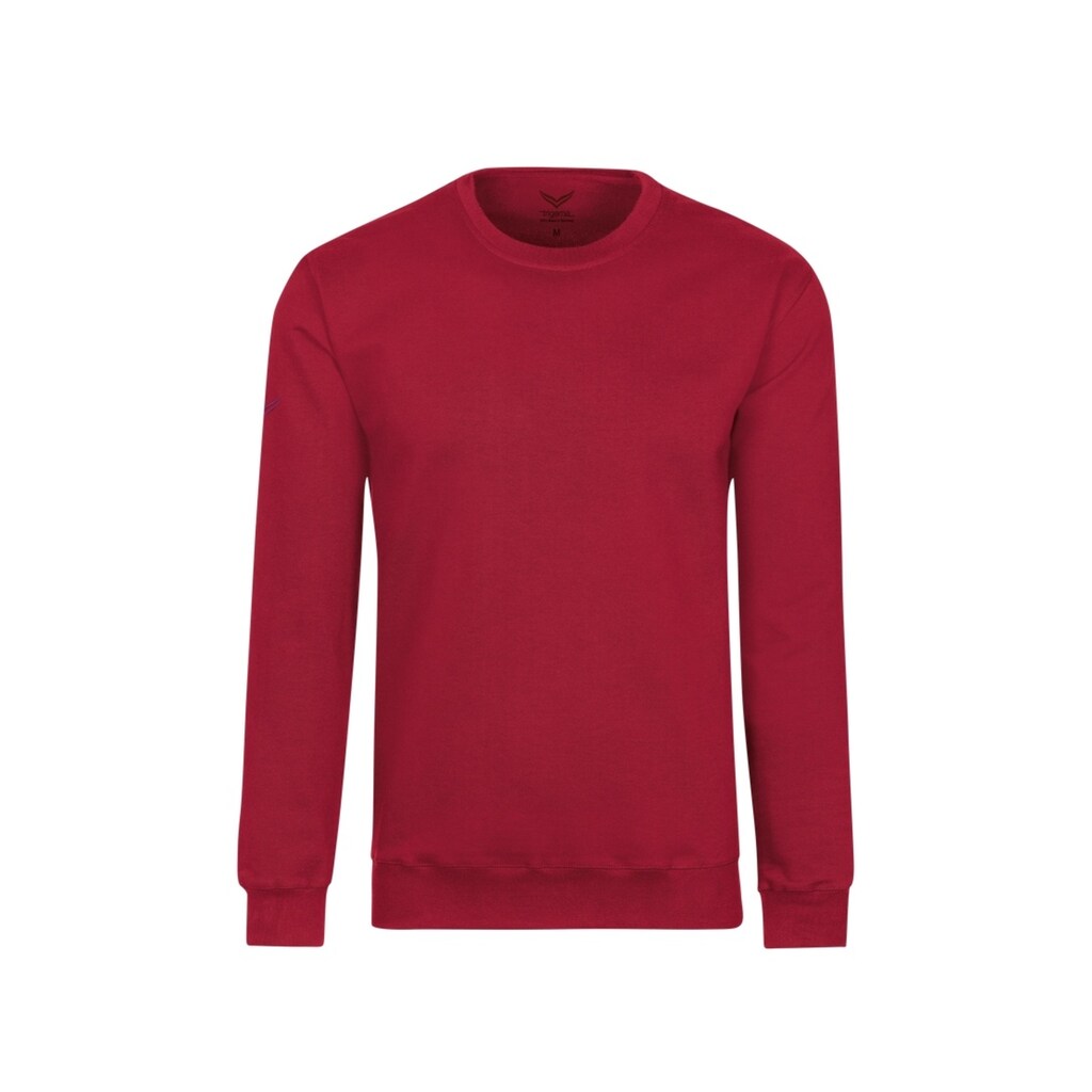 Trigema Sweatshirt »TRIGEMA Sweatshirt aus Biobaumwolle«