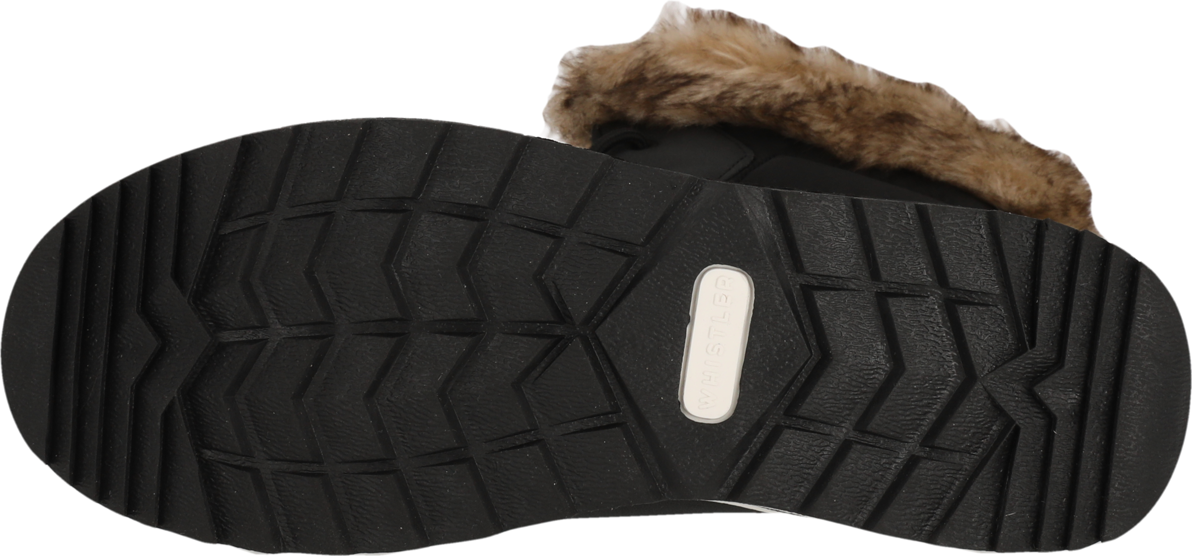 WHISTLER Winterboots »EEWYE W BOOT WP V2«  Winterschuhe, Winterboots, Snowboots, wasserdicht