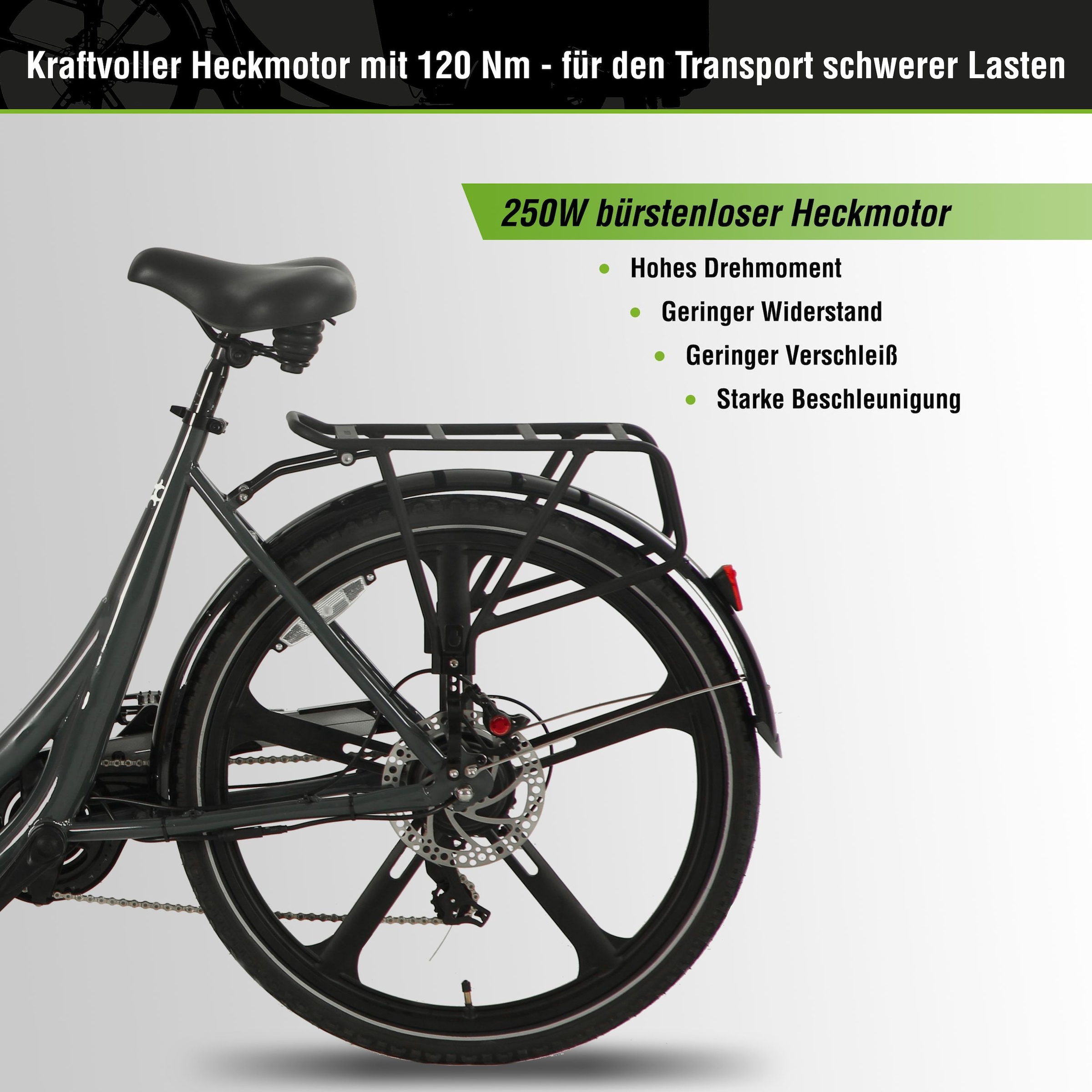 SachsenRad »SachsenRAD T2 Neo Vintage mit Abdeckung« 7 Gang Shimano Kettenschaltung Heckmotor 250 W