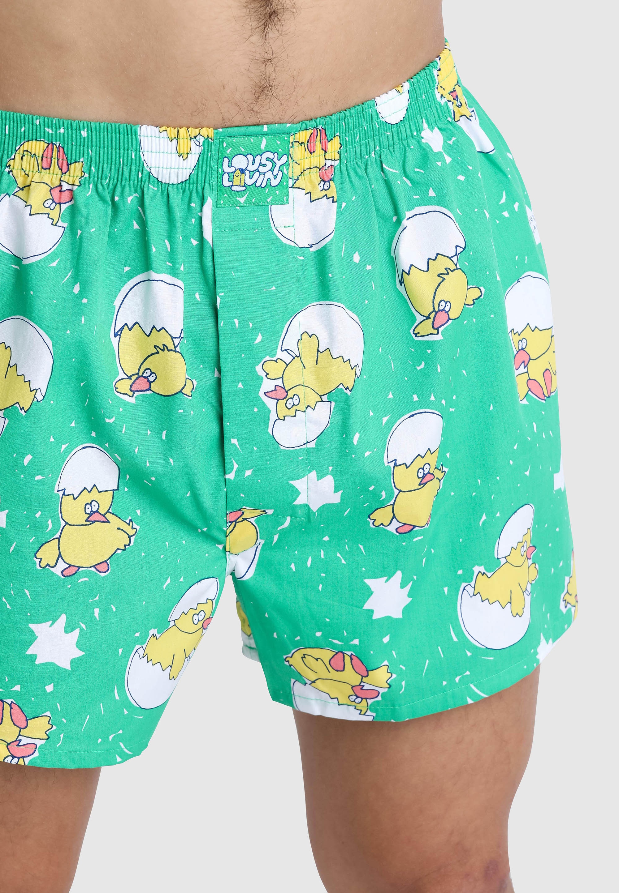 Lousy Livin Boxershorts »Küken & Icecream«, im praktischen Doppelpack