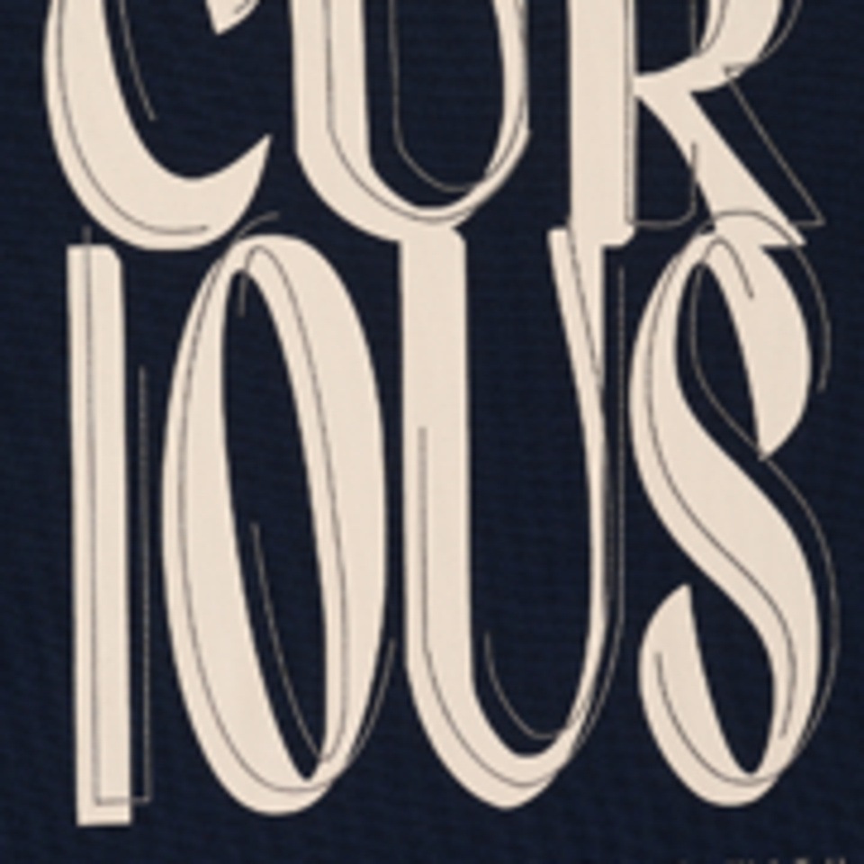 Cecil Langarmshirt mit Wording-Print