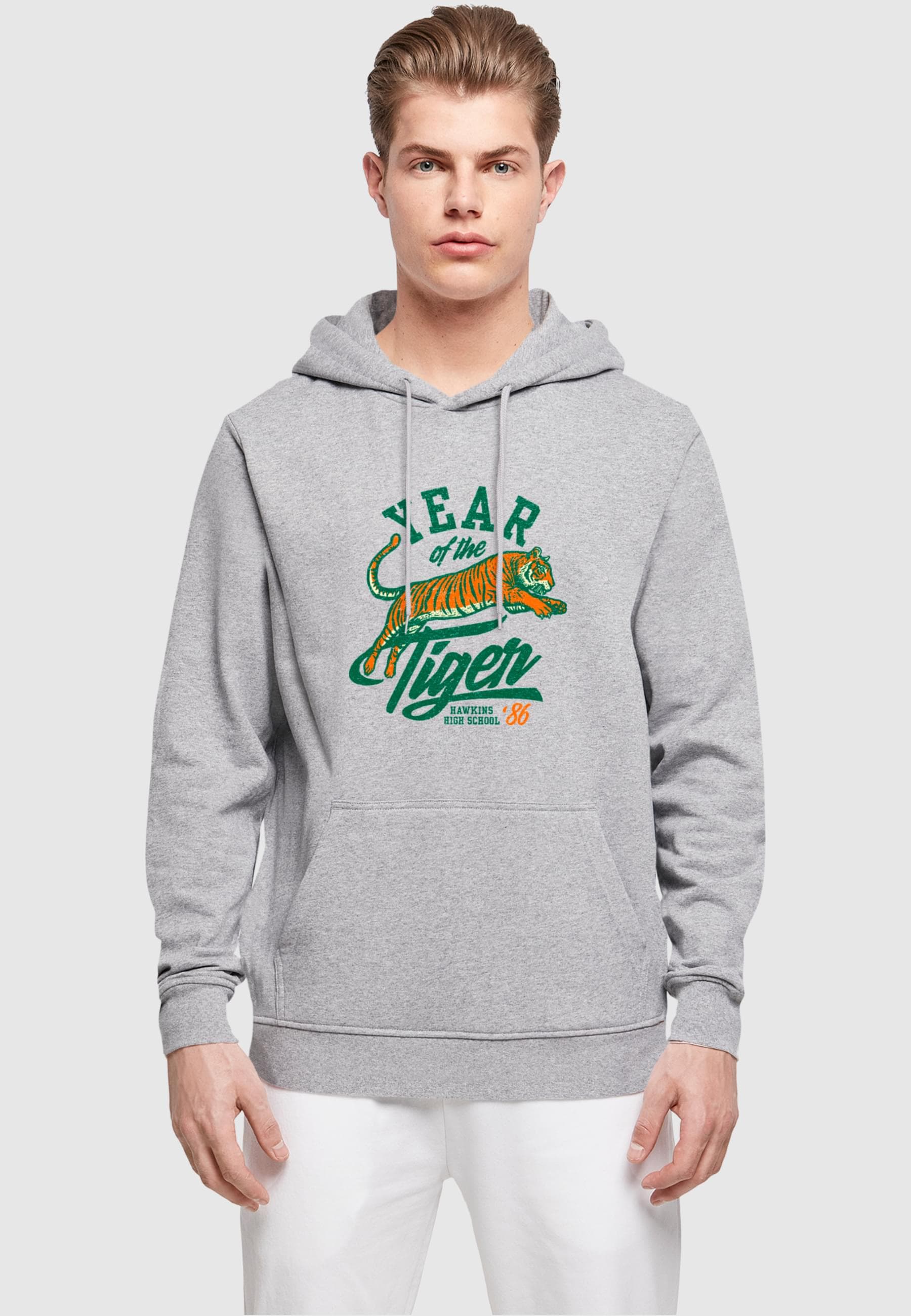 ABSOLUTE CULT Kapuzensweatshirt »ABSOLUTE CULT Herren«, (1 tlg.)