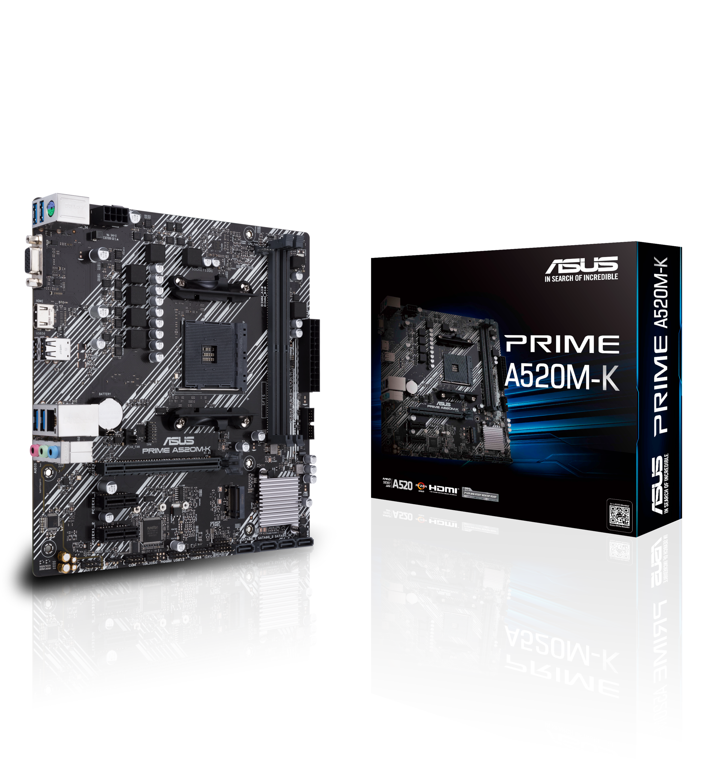 Asus Mainboard »PRIME A520M-K«