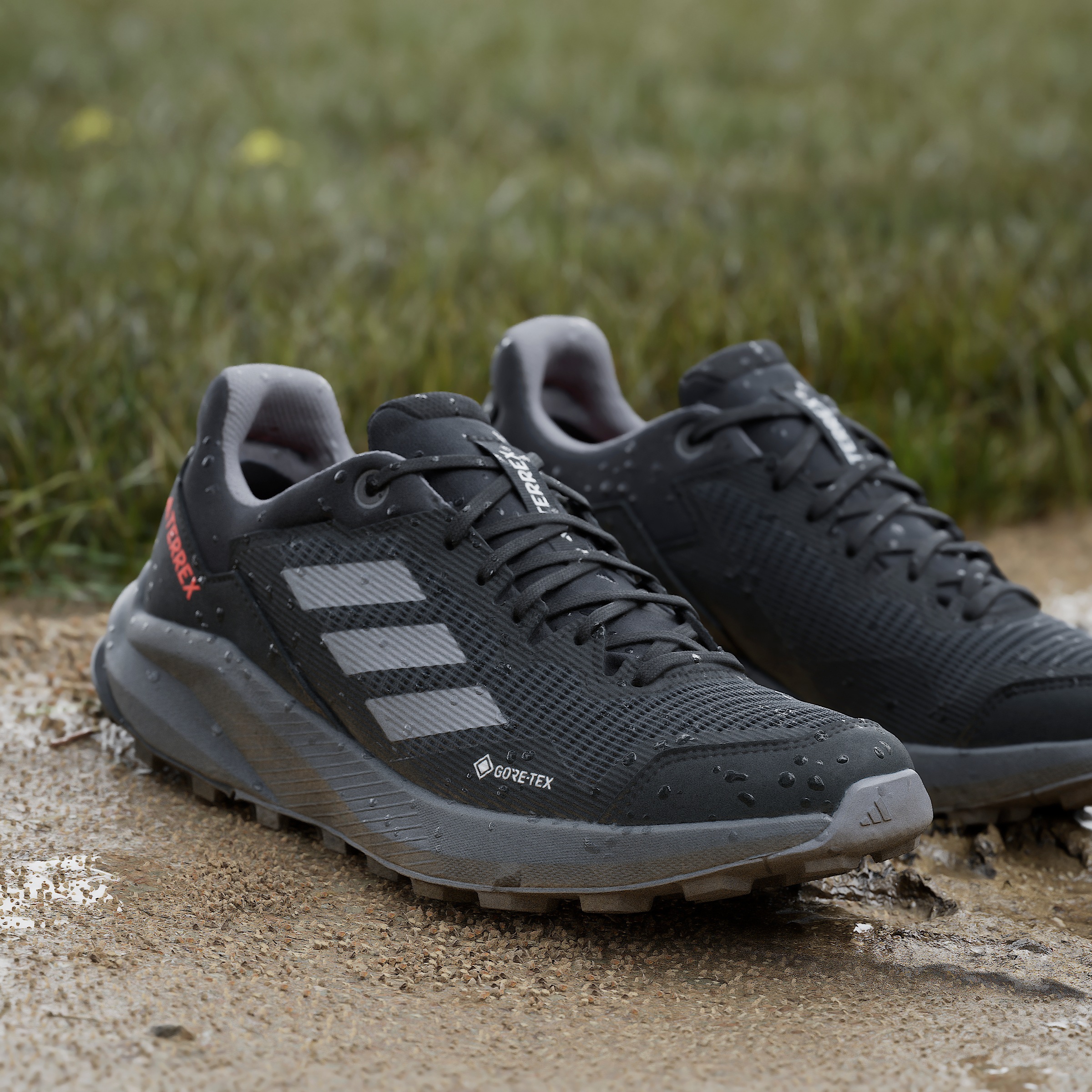 adidas TERREX Laufschuh "TERREX TRAIL RIDER GORE-TEX TRAILRUNNING", wasserd günstig online kaufen