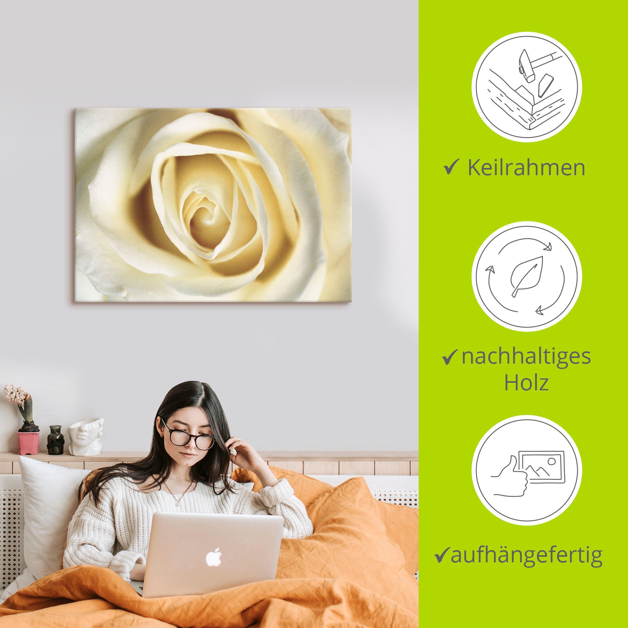 Artland Wandbild »Weiße Rose«, Blumen, (1 St.), als Alubild, Outdoorbild, Leinwandbild in verschied. Größen