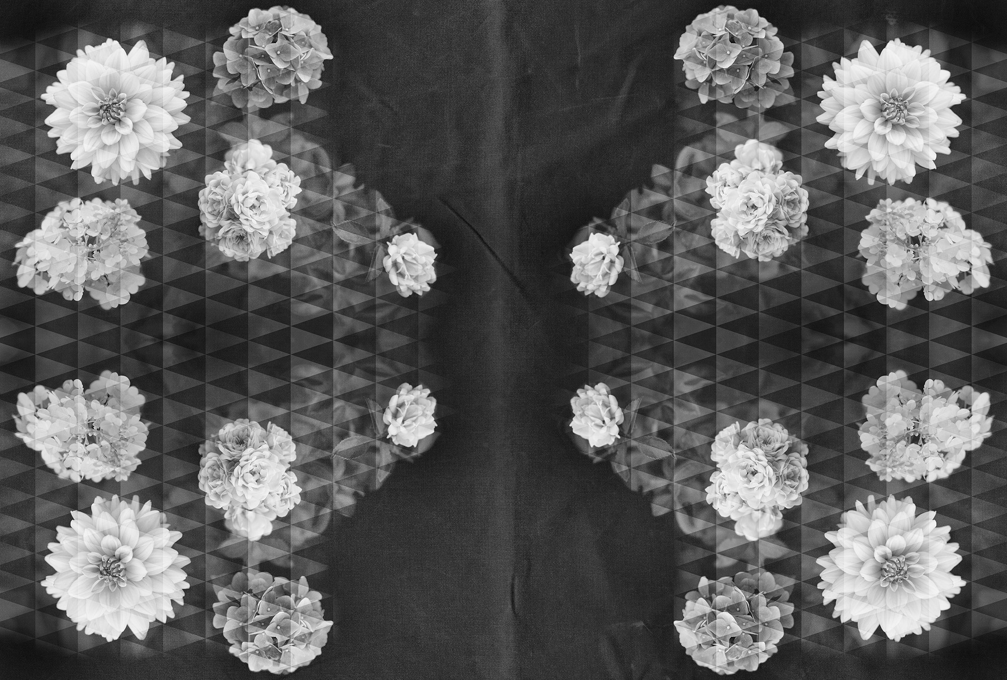 Architects Paper Fototapete "Artwork Flowers" Vlies, Wand, Schräge