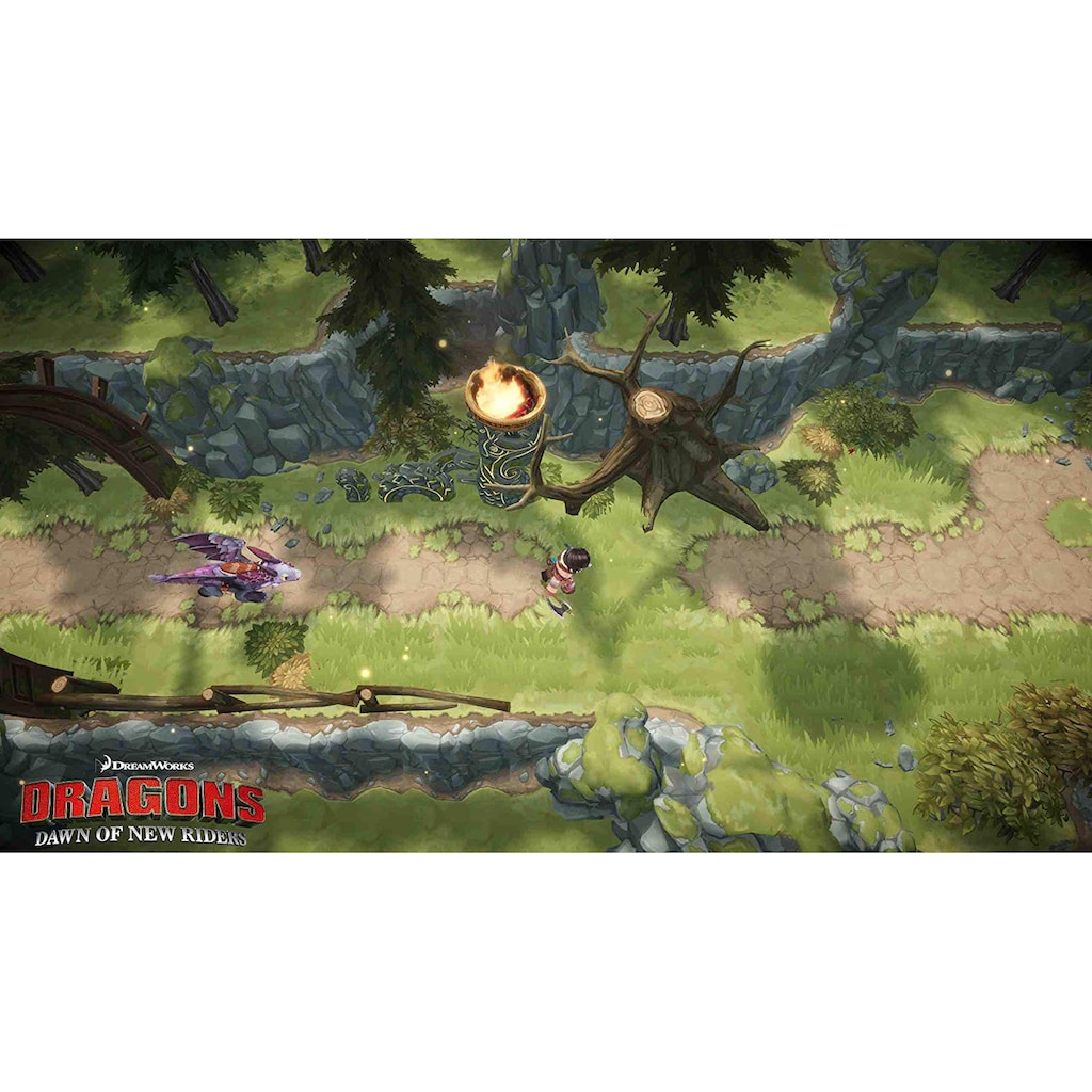 BANDAI NAMCO Spielesoftware »Dragons - Aufbruch Neuer Reiter«, Nintendo Switch