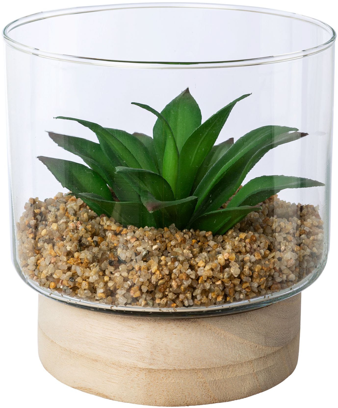 Creativ green Kunstpflanze »Sukkulenten im Glasgefäß«