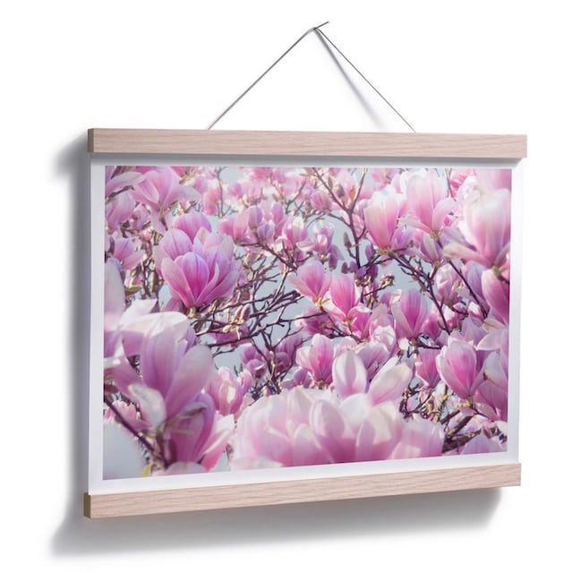 Wall-Art Poster »Magnolienbaum«, Baum, (1 St.) bestellen | BAUR