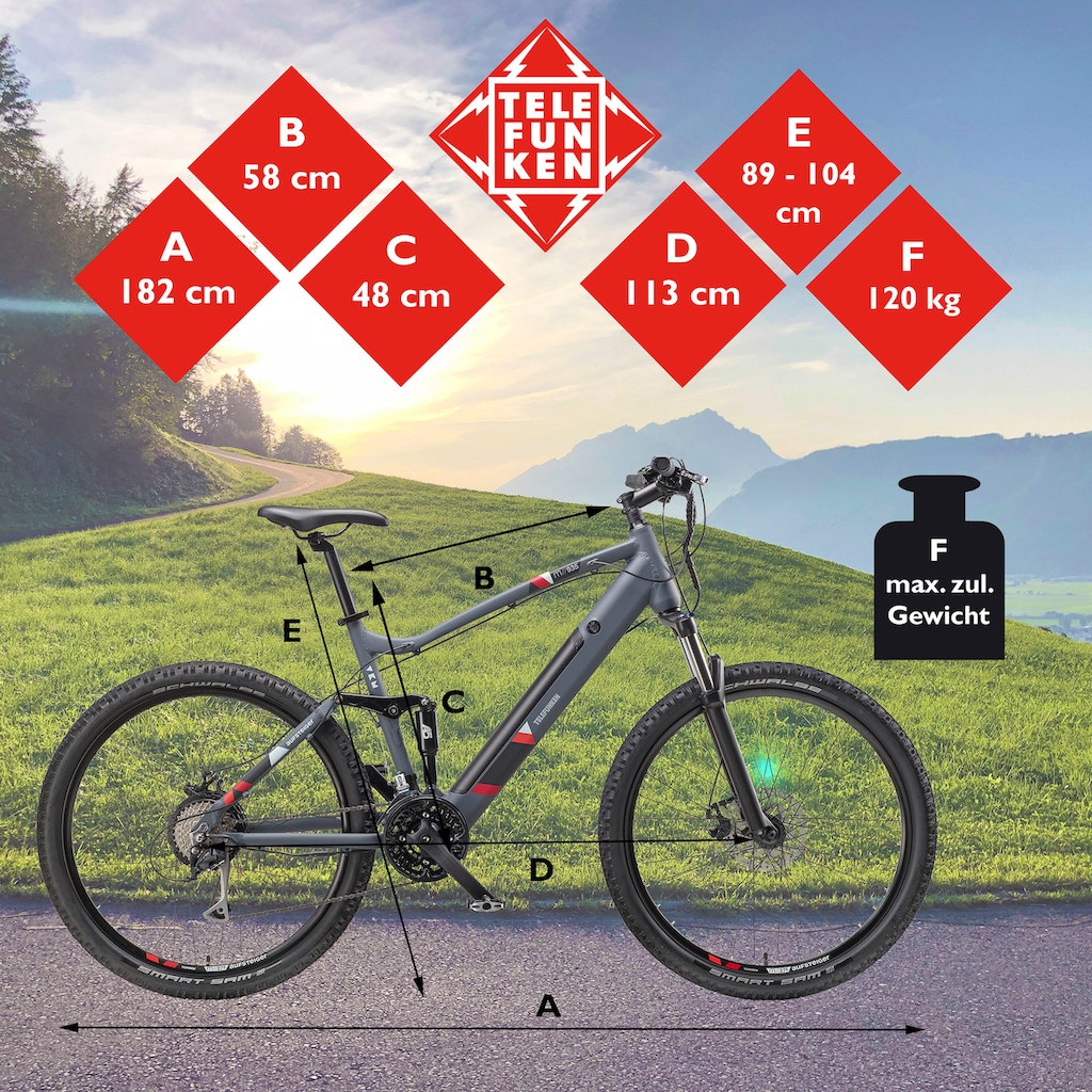 Telefunken E-Bike »Aufsteiger M935«, 24 Gang, Shimano, Acera, Heckmotor 250 W