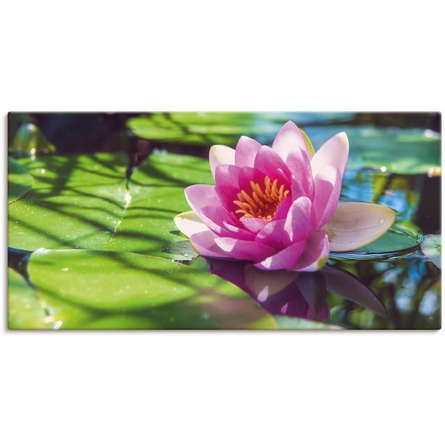 Artland Wandbild »Seerose Nahaufnahme«, Blumenbilder, (1 St.), als Alubild,  Leinwandbild, Wandaufkleber oder Poster in versch. Größen bestellen | BAUR