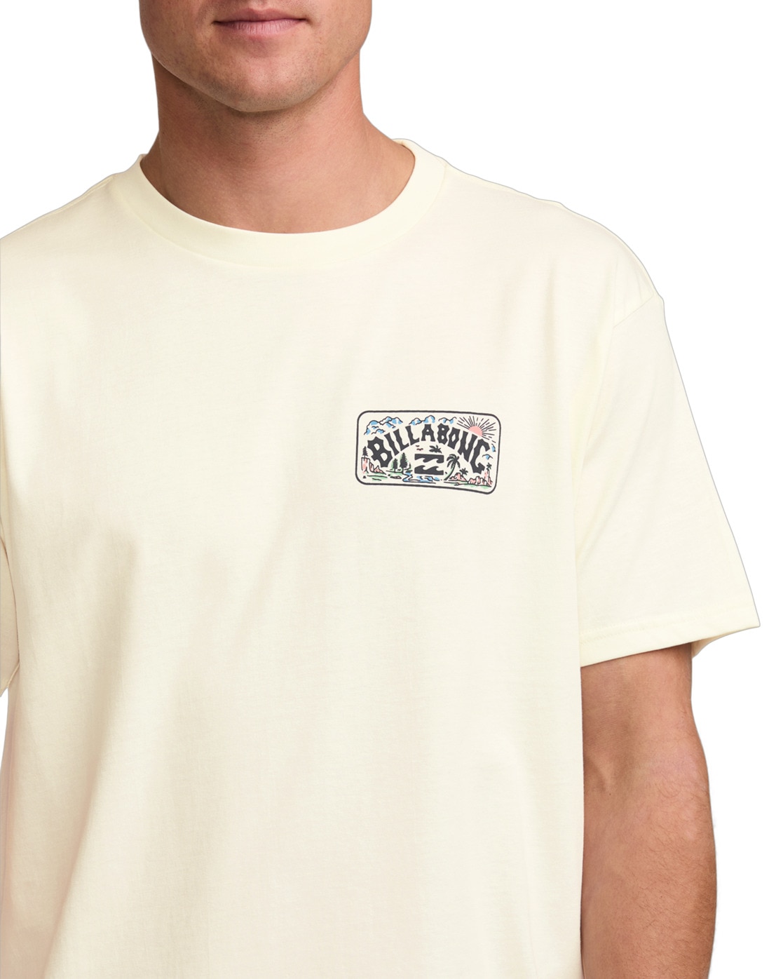Billabong T-Shirt "Scenic Arch" günstig online kaufen