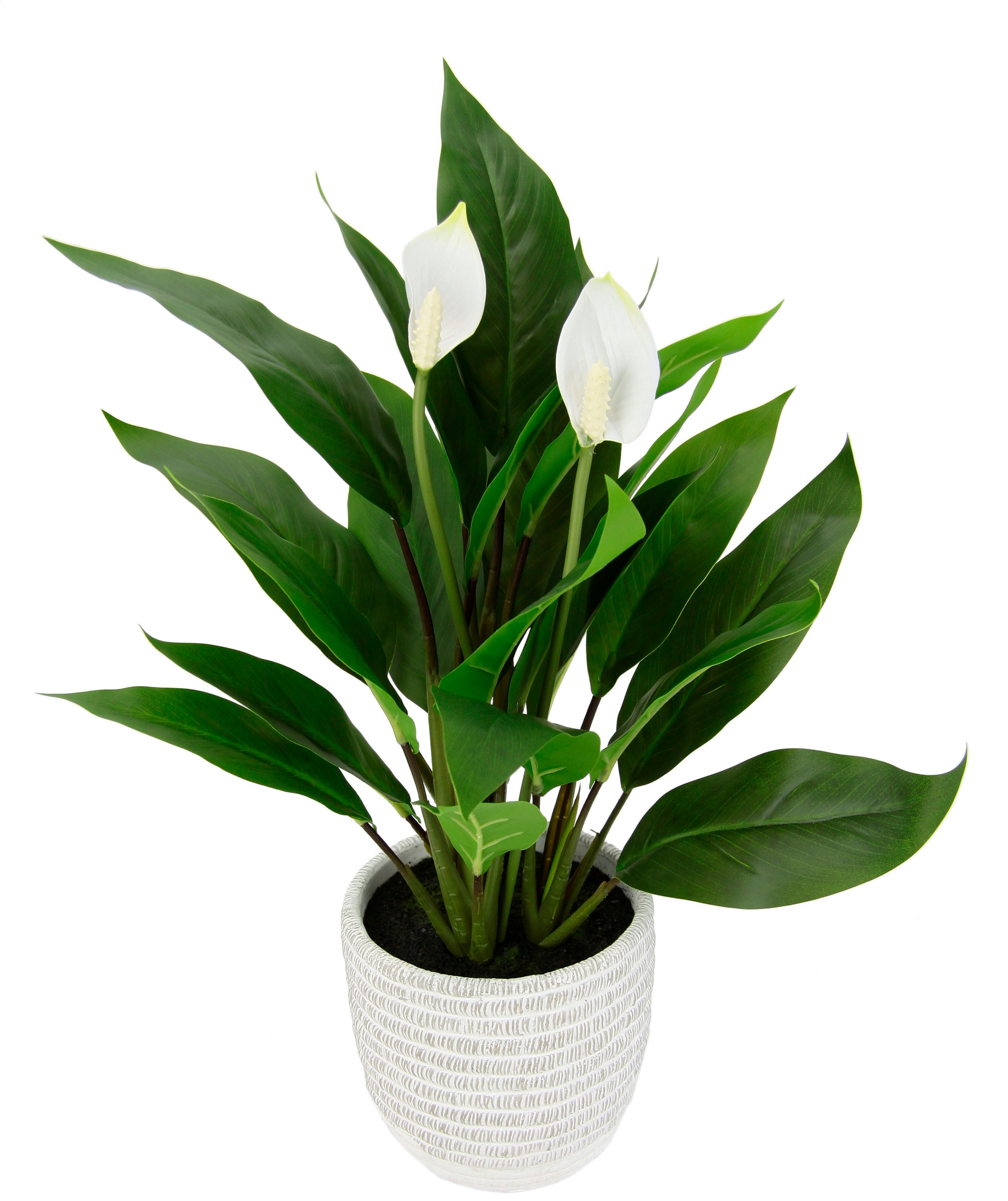 I.GE.A. Kunstpflanze "Spathiphyllum", im Topf Anthurie Calla Flamingoblume exotische Pflanze weiße Blüten