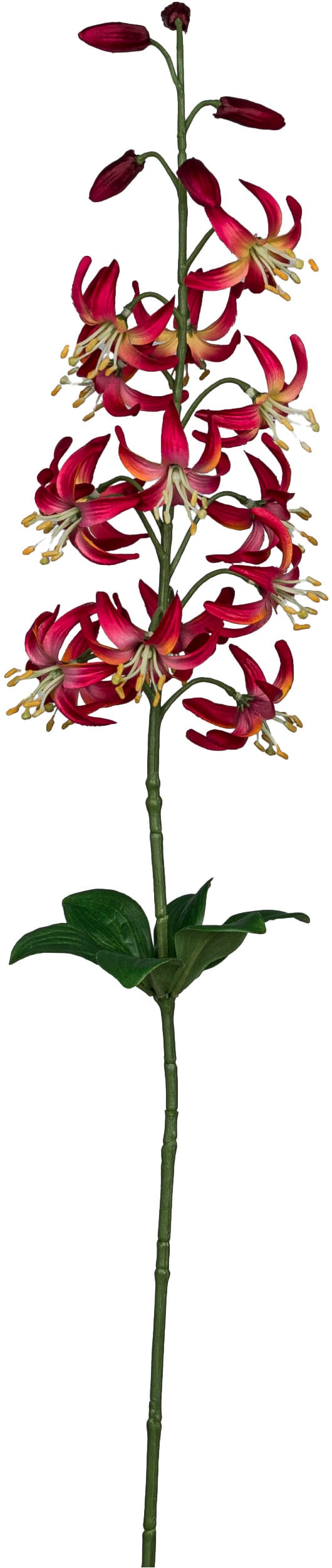 Creativ green Kunstblume »Wildlilienzweig« mit zauberhaften Blüten