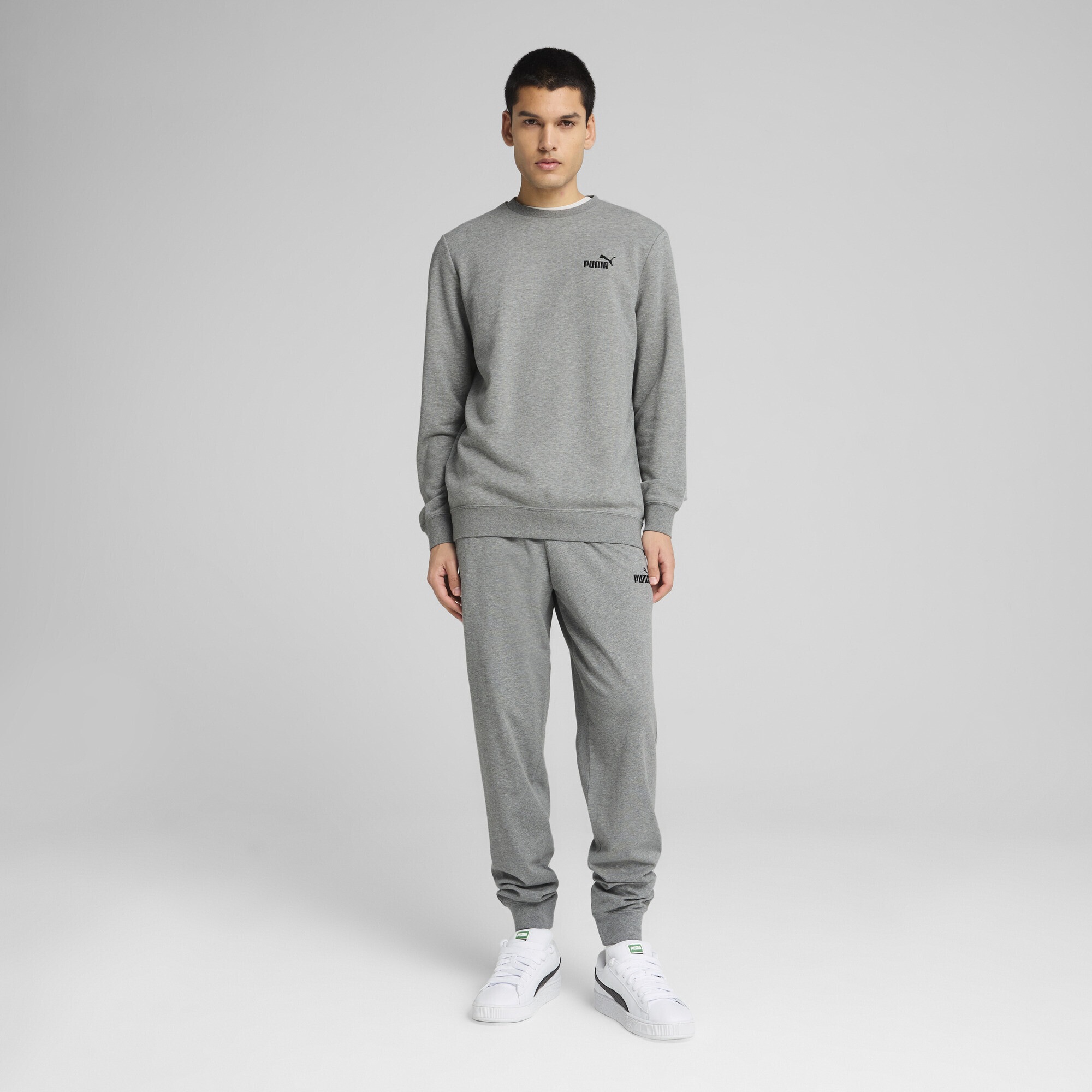 PUMA Sweatshirt »Essentials Small No. 1 Logo Crewneck Herren«