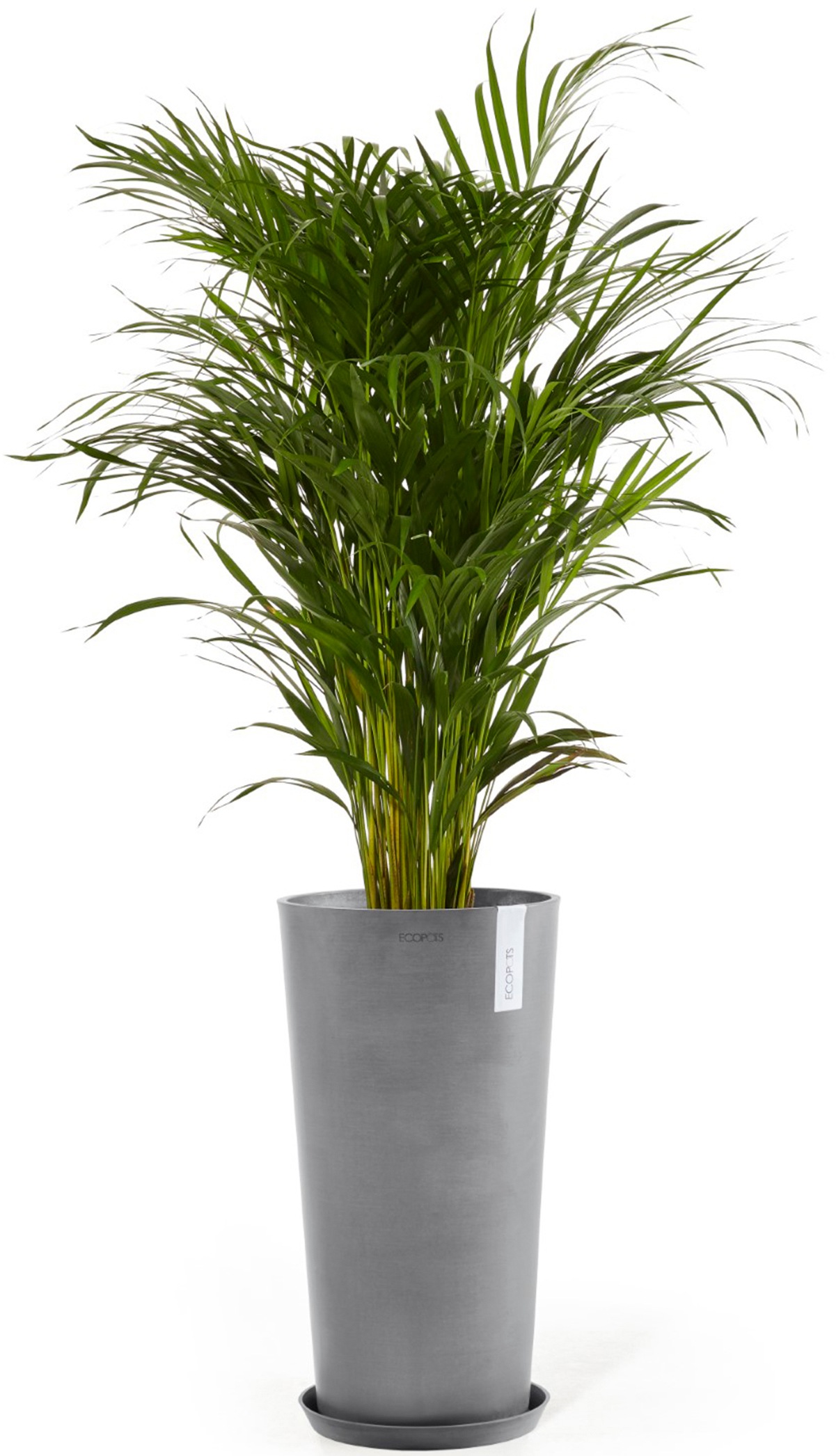 ECOPOTS Blumentopf »Amsterdam extrahoch 90 Grau«, für innen und außen: frostsicher, bruchsicher und lichtbeständig