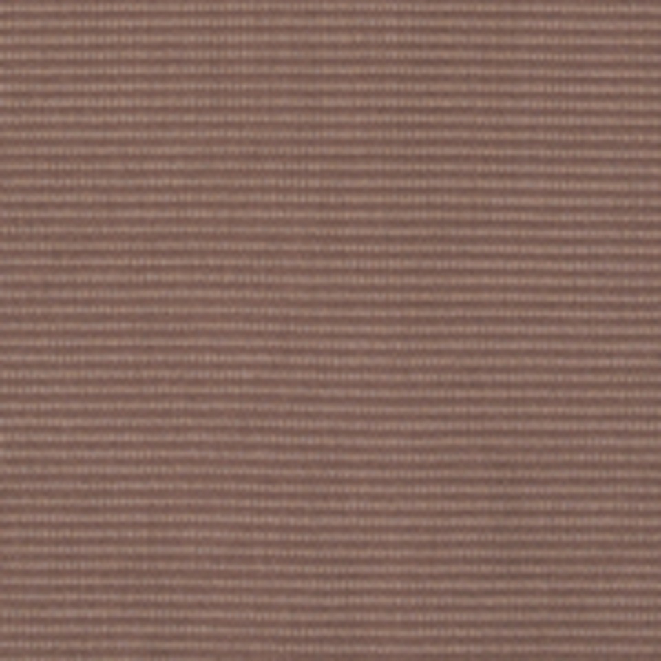 Cecil Blouson ohne Kapuze mit Stehkragen