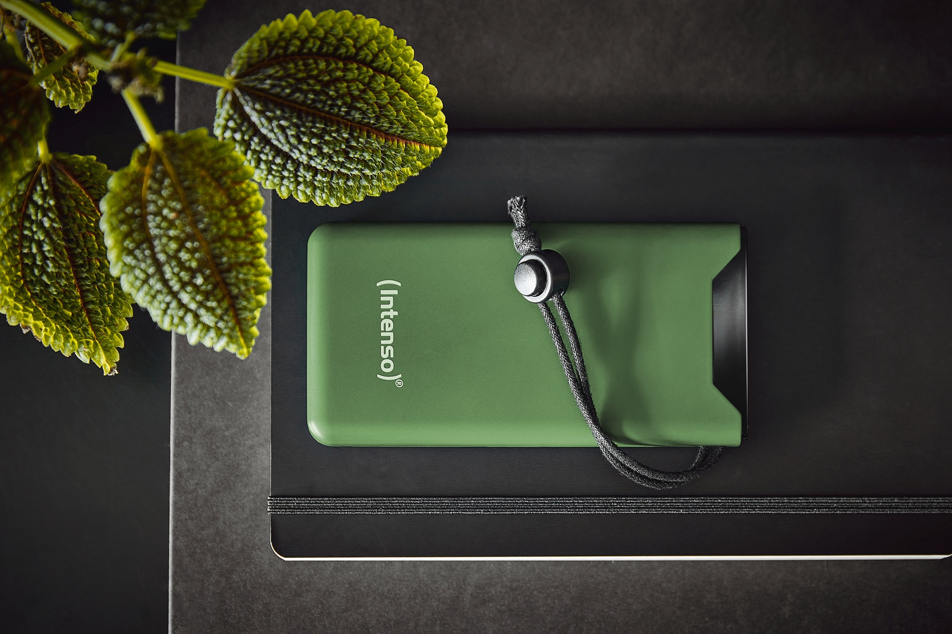 Intenso Powerbank »F10000, 20 W«