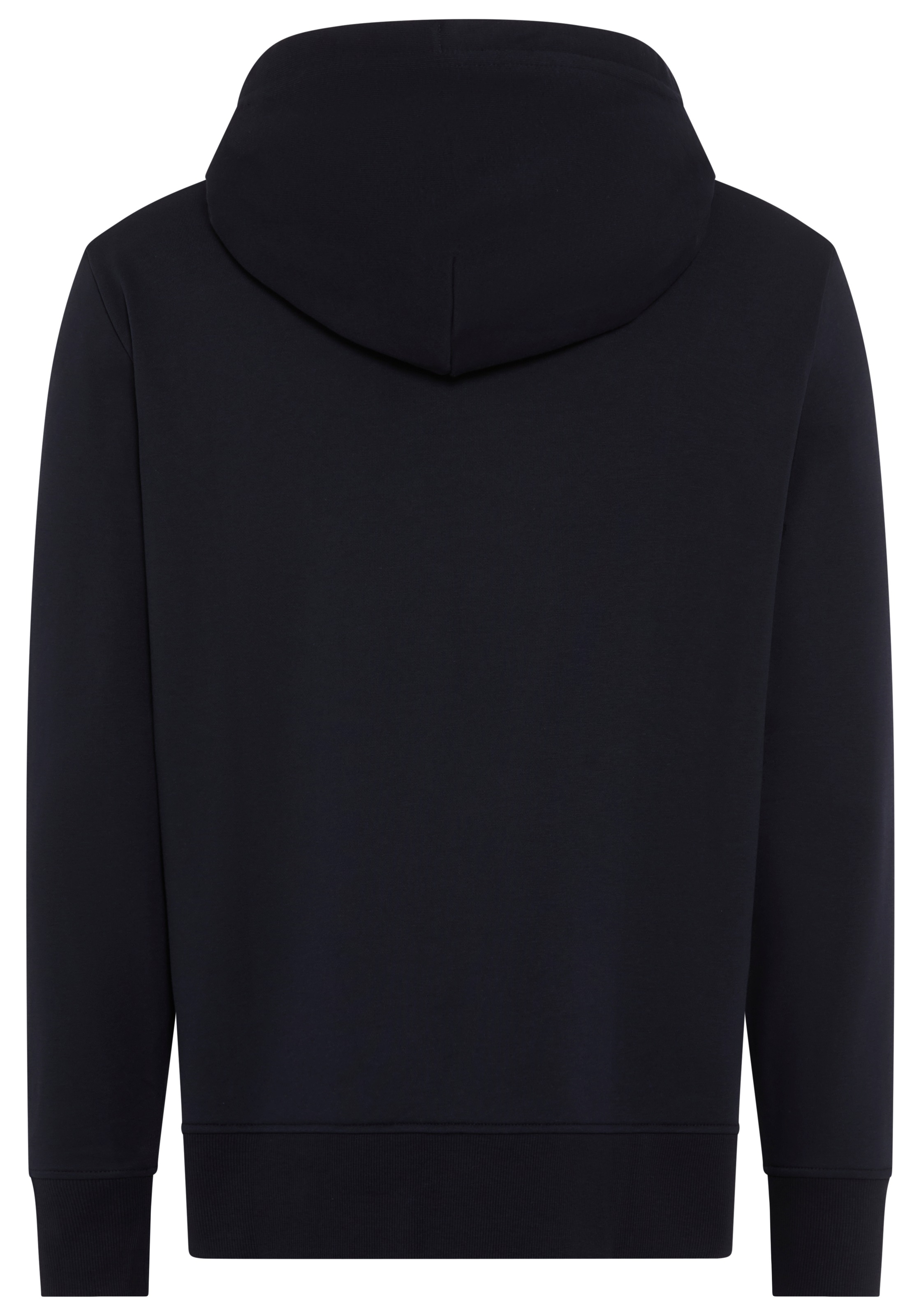 Gant Sweatshirt "PRINTED GRAPHIC", mit Kapuze, regular fit, Kängurutasche günstig online kaufen