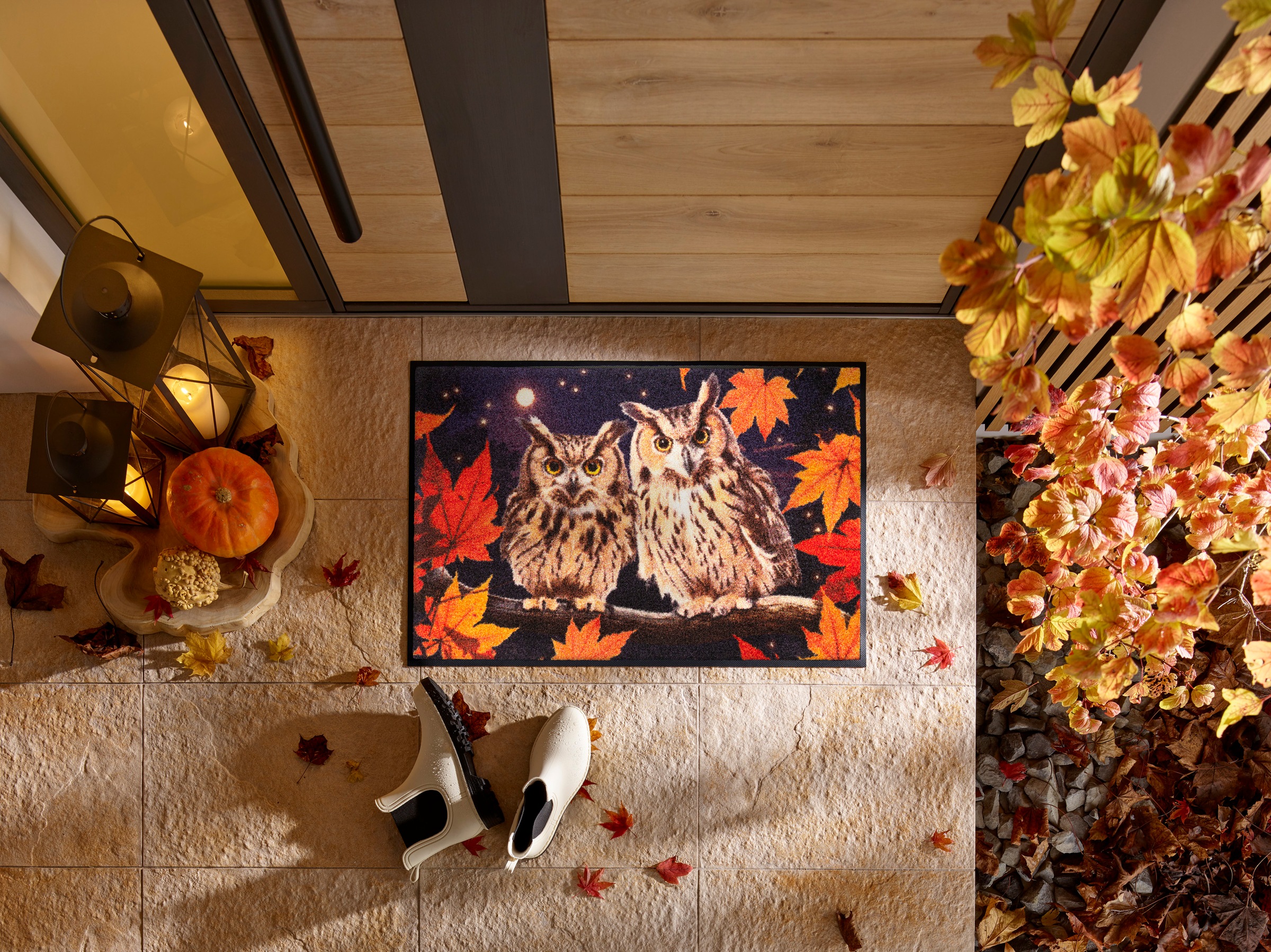 wash+dry by Kleen-Tex Fußmatte "Night Owls" rechteckig 7 mm Höhe günstig online kaufen