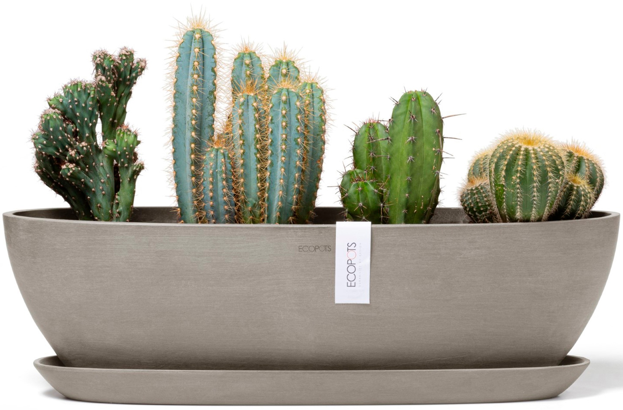 ECOPOTS Blumentopf »Sofia lang 56 Taupe«, für innen und außen: frostsicher, bruchsicher und lichtbeständig