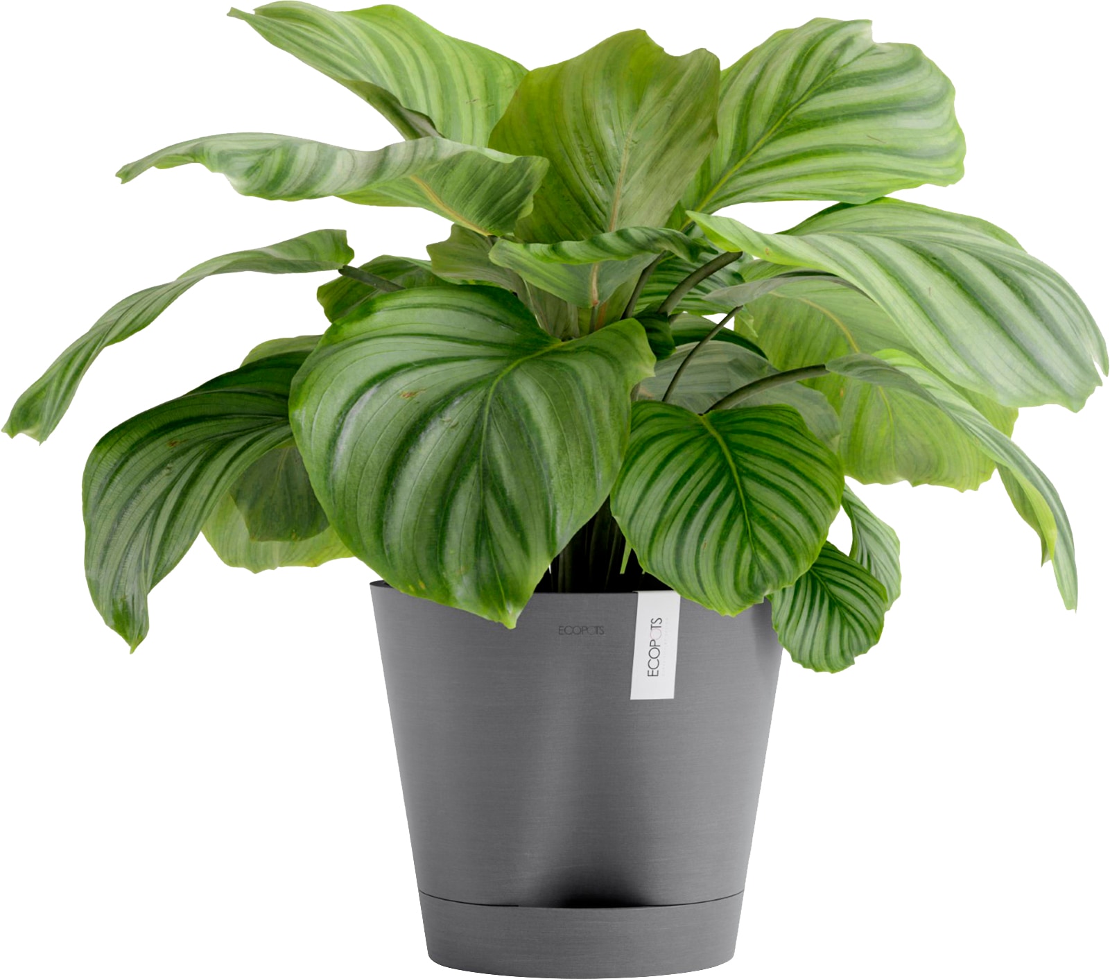 ECOPOTS Blumentopf »Venice 2 30 Grau«, für den Innenbereich