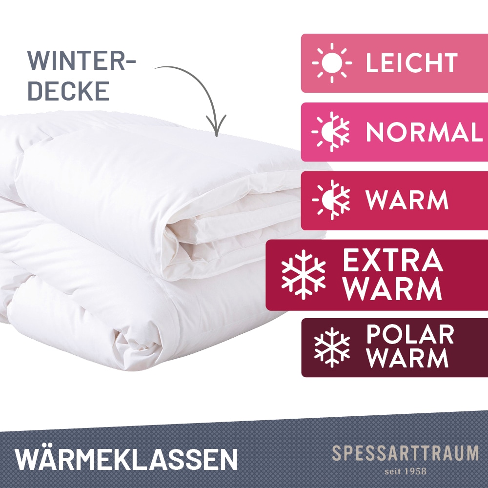 SPESSARTTRAUM Gänsedaunenbettdecke + Kopfkissen »Premium******«, (Spar-Set), Sparset: 4 Wärmeklassen, 135x200 cm & 155x220 cm