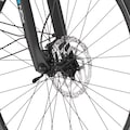 FISCHER Fahrrad E-Bike »VIATOR ETH 1861 557«, 10 Gang, Shimano, Deore, Mittelmotor 250 W, (mit Akku-Ladegerät-mit Gepäckträgertasche-mit Werkzeug)