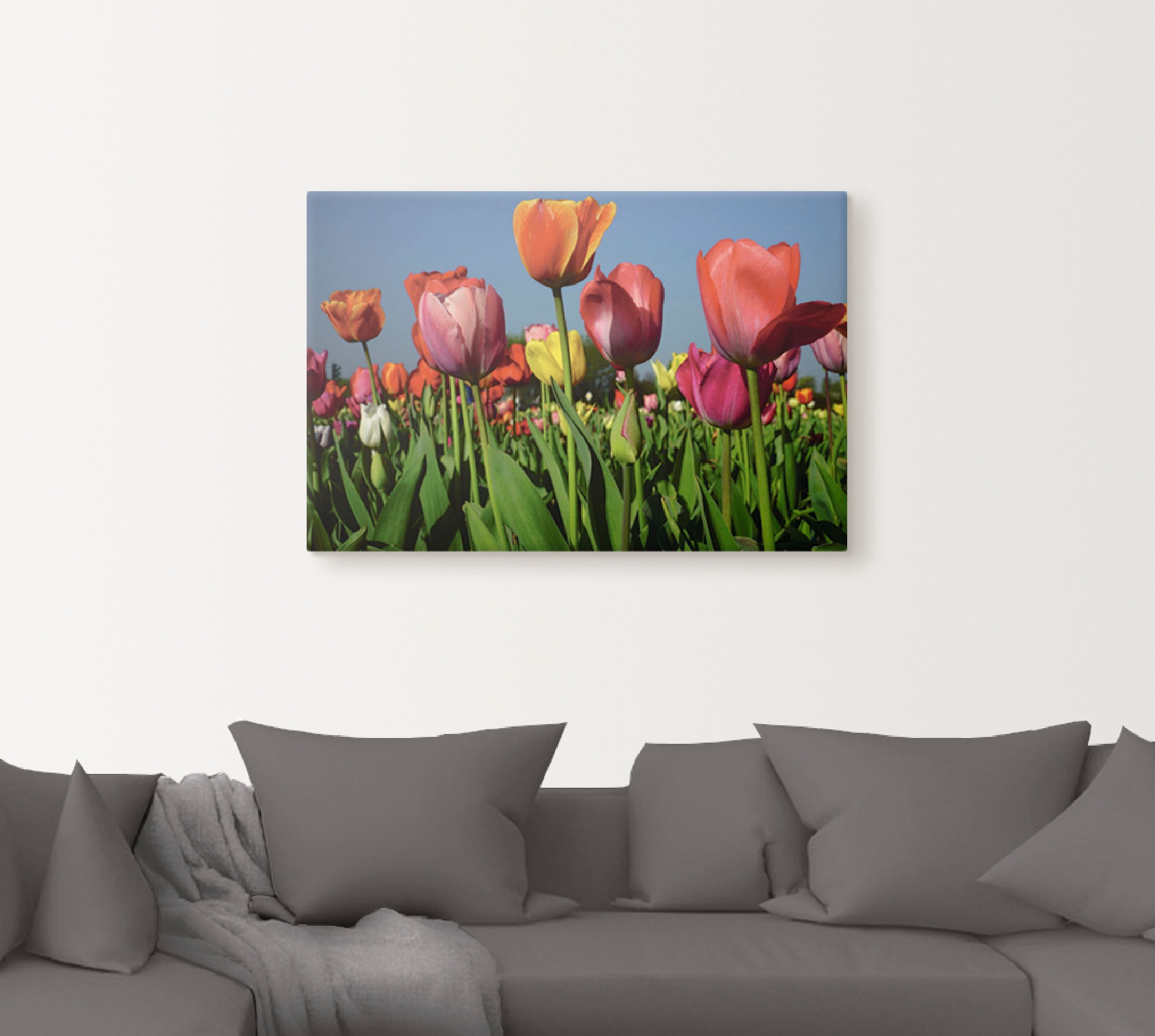 Artland Leinwandbild »Buntes Tulpenfeld«, Blumen, (1 St.), auf Keilrahmen gespannt