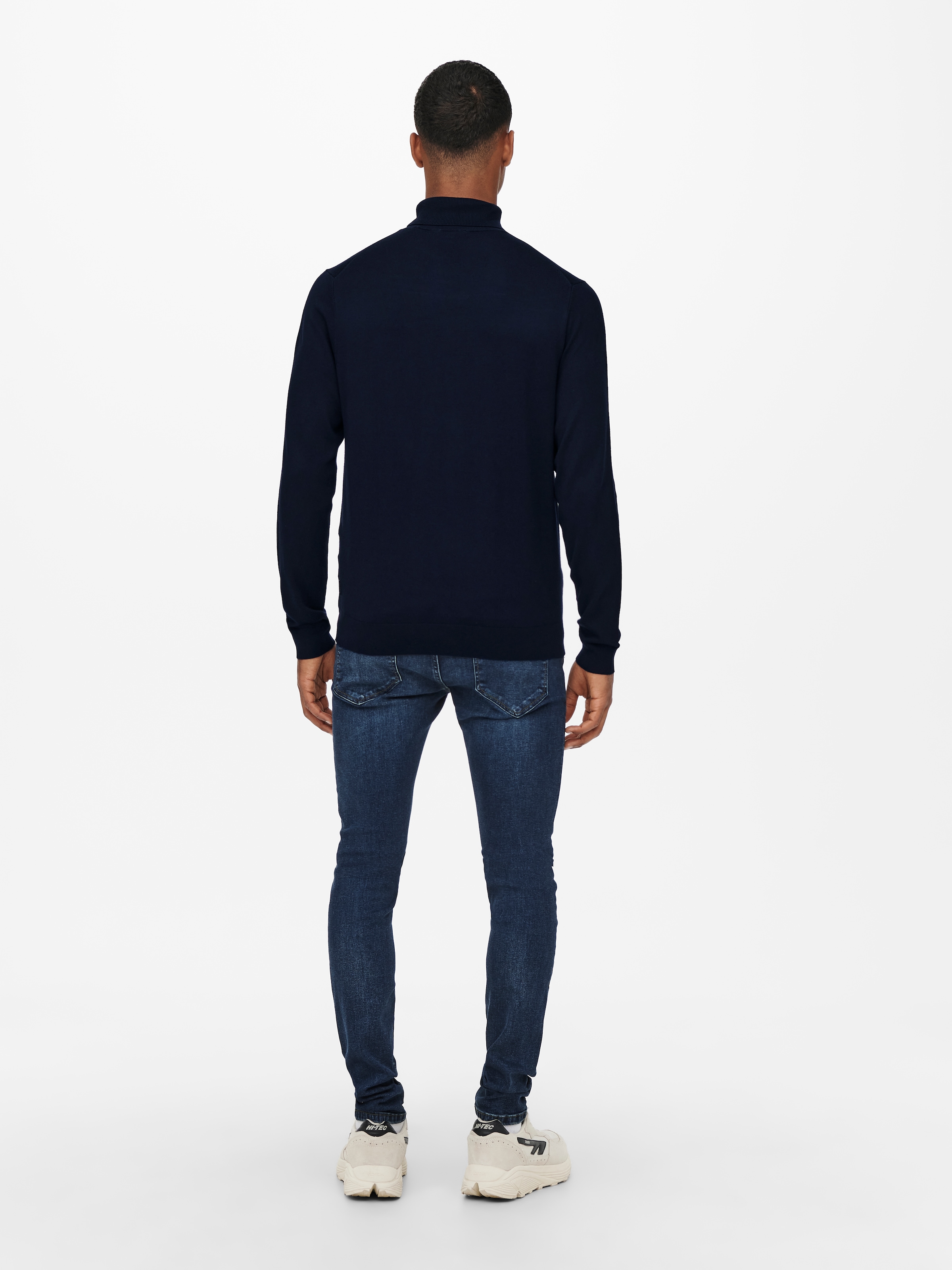 ONLY & SONS 1100000002199 »ONSWYLER LIFE REG ROLL NECK KNIT NOOS«