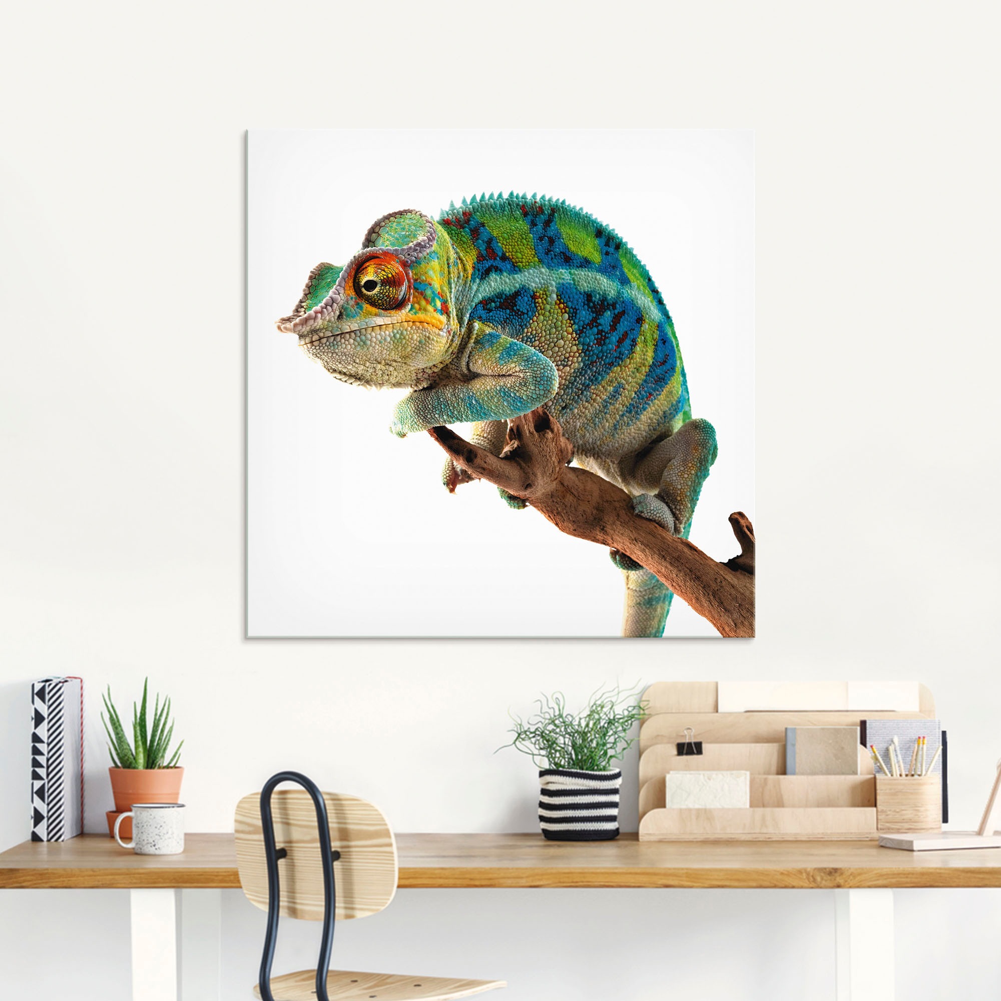 Artland Glasbild "Ambanja Panther Chamäleon" Reptilien 1 Stk. tlg. in versc günstig online kaufen