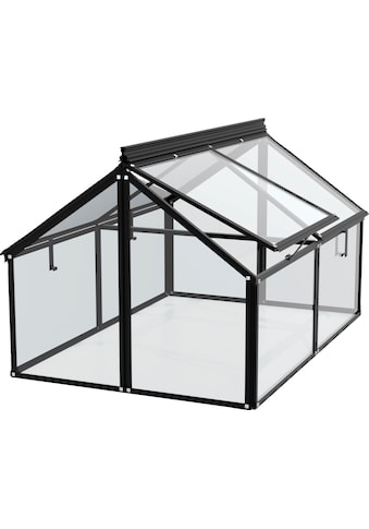 Vitavia Mini šiltnamis »Gaia Jumbo« BxTxH: 83x...