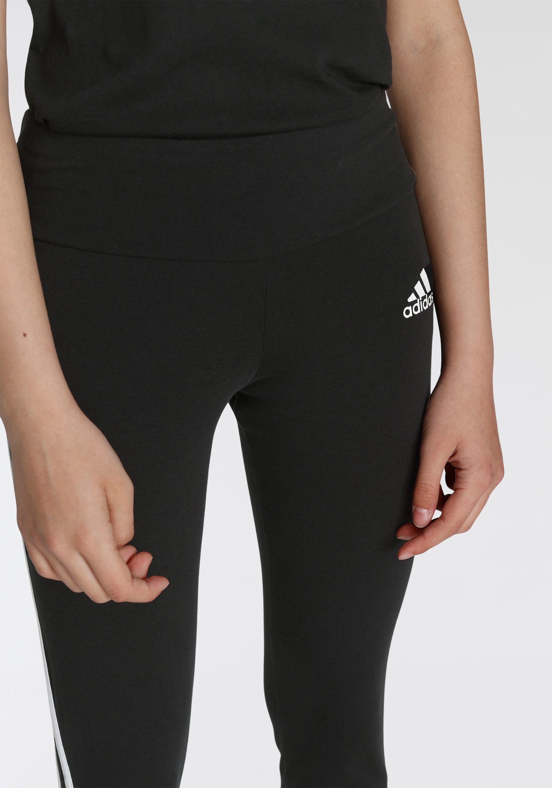 adidas Sportswear Leggings »3-STREIFEN BAUR TIGHT« | COTTON ▷ für