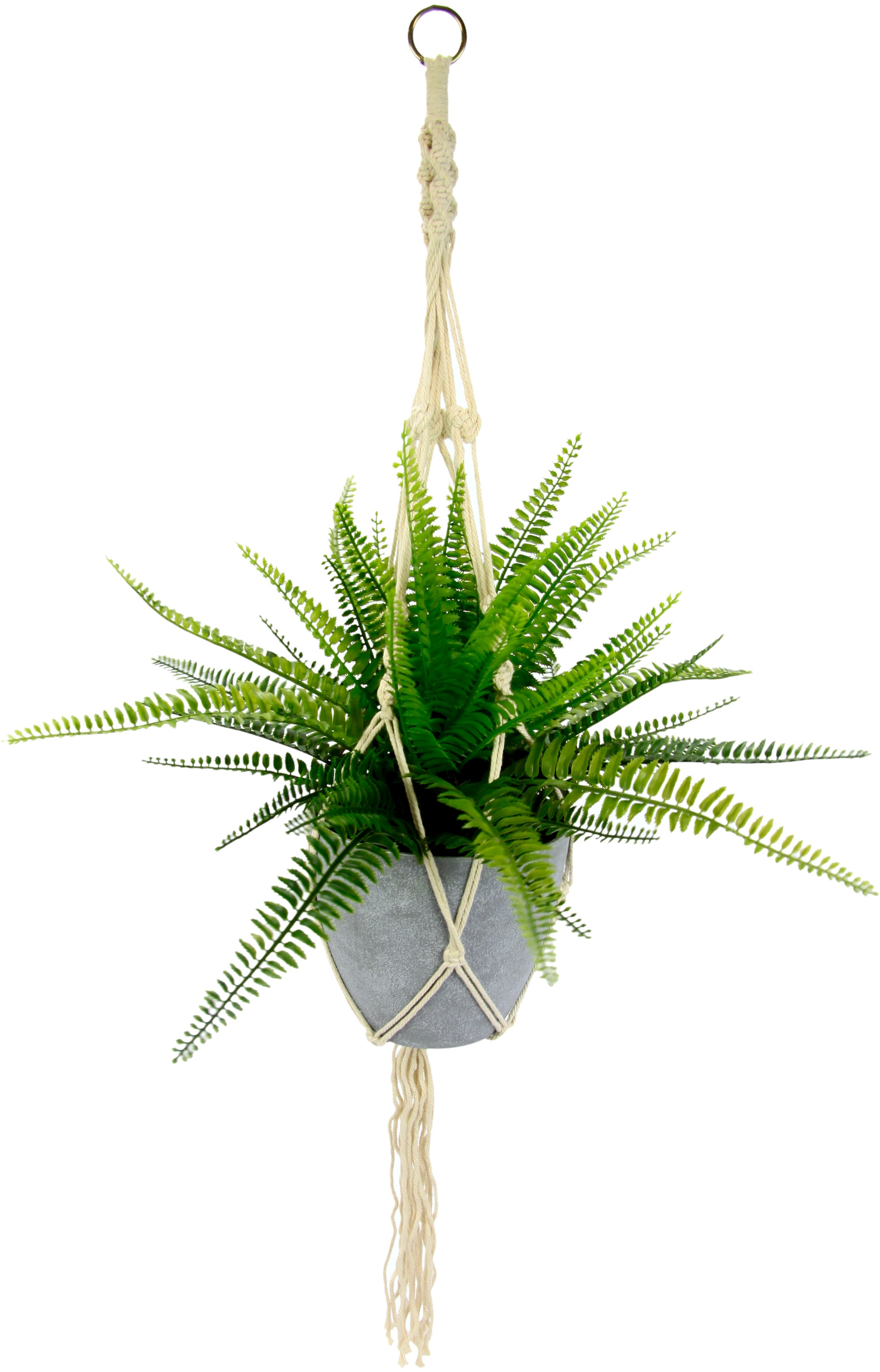 I.GE.A. Künstliche Zimmerpflanze »Farnbusch«, Makramehängeampel mit im kaufen Kunststofftopf, | BAUR