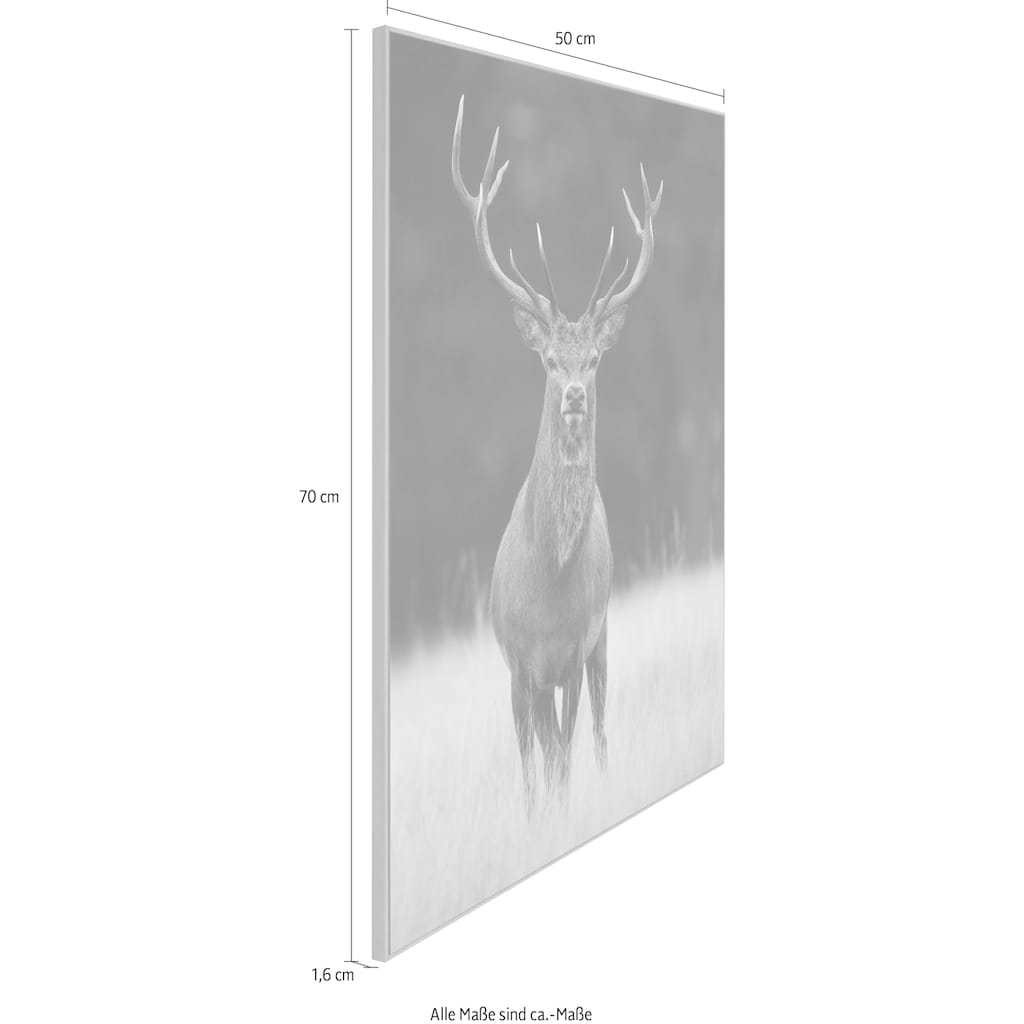 Reinders! Wandbild »Slim Frame Wood 50x70 Deer«