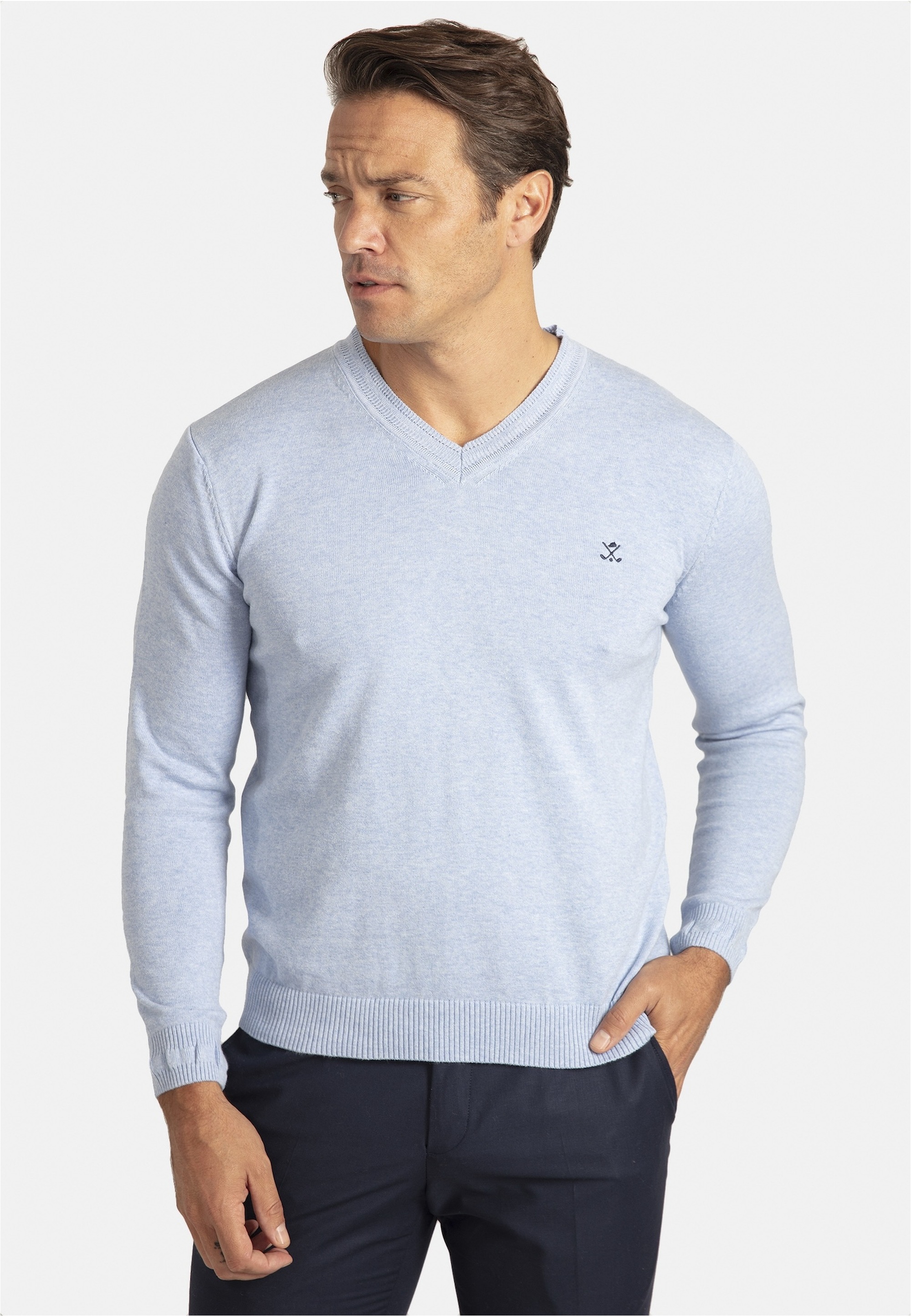 SIR RAYMOND TAILOR Strickpullover »Los Angeles«, (1 tlg.), mit klassischem V-Ausschnitt