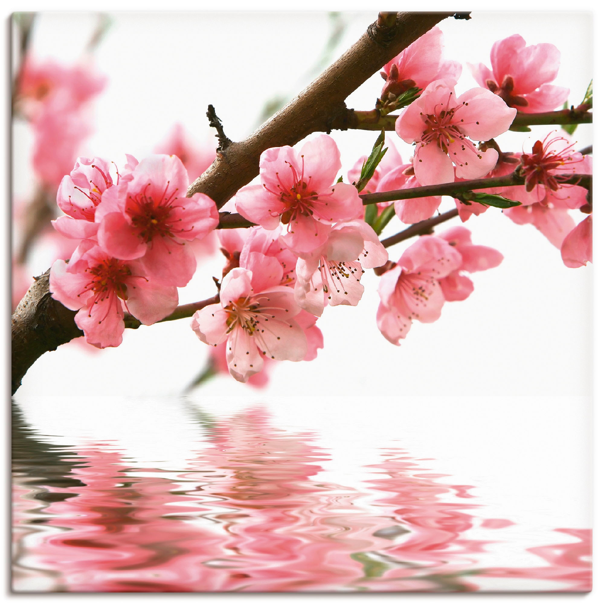 Artland Wandbild "Pfirsichblüten reflektieren im Wasser" Blumen 1 Stk. tlg. günstig online kaufen