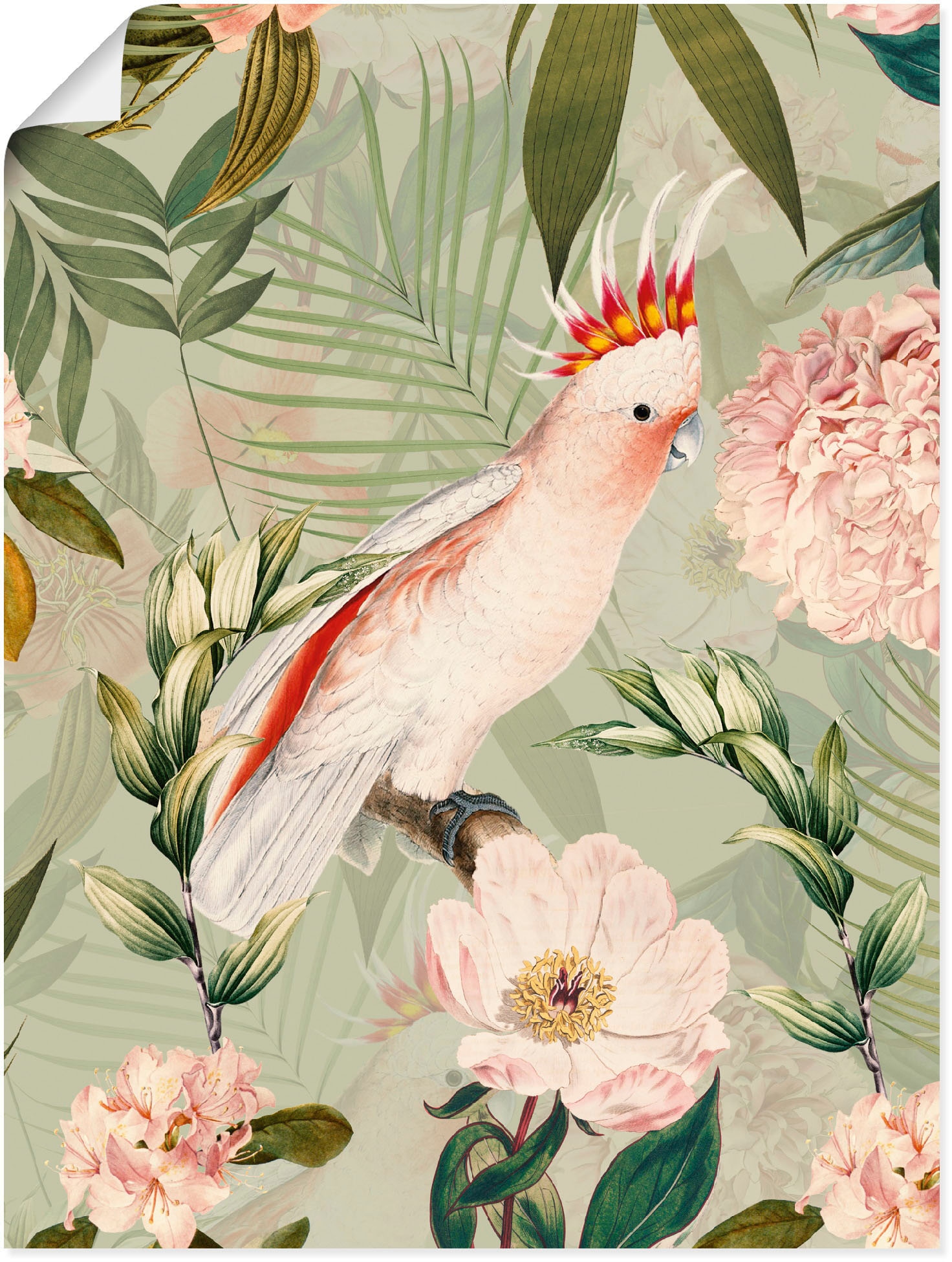 Artland Wandbild »Vintage Papagei«, Vogelbilder, (1 St.), als Alubild, Outdoorbild, Leinwandbild, Poster in verschied. Größen