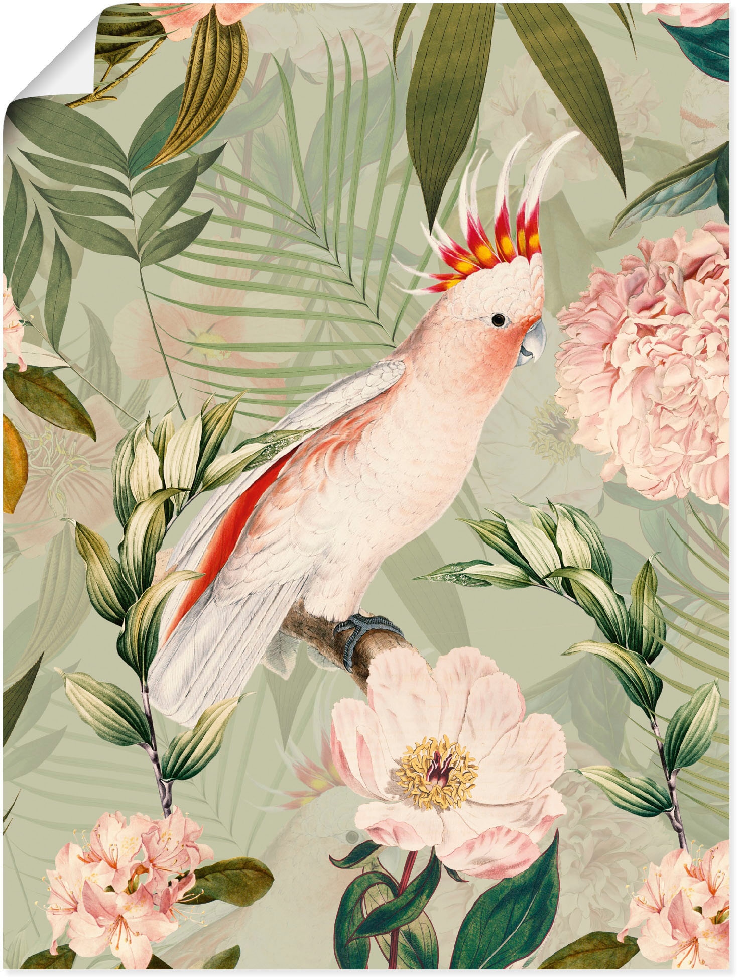 Artland Wandbild "Vintage Papagei" Vogelbilder 1 Stk. tlg. als Leinwandbild, Poster in verschied. Größen