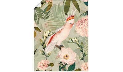 Wandbild »Vintage Papagei«, Vogelbilder, (1 St.), als Alubild, Outdoorbild,...
