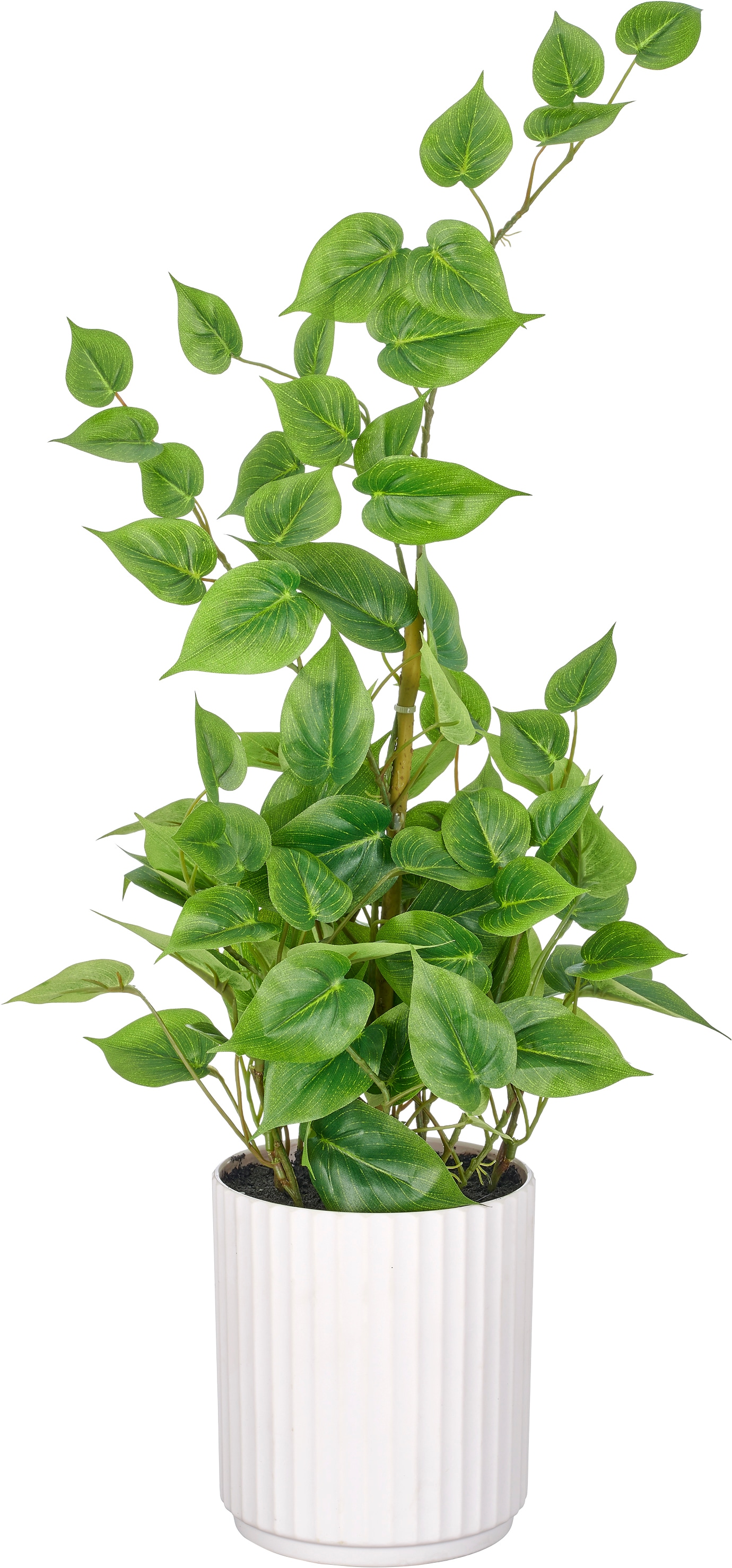 Creativ green Künstliche Zimmerpflanze "Philodendron hederaceum" im Design-Topf