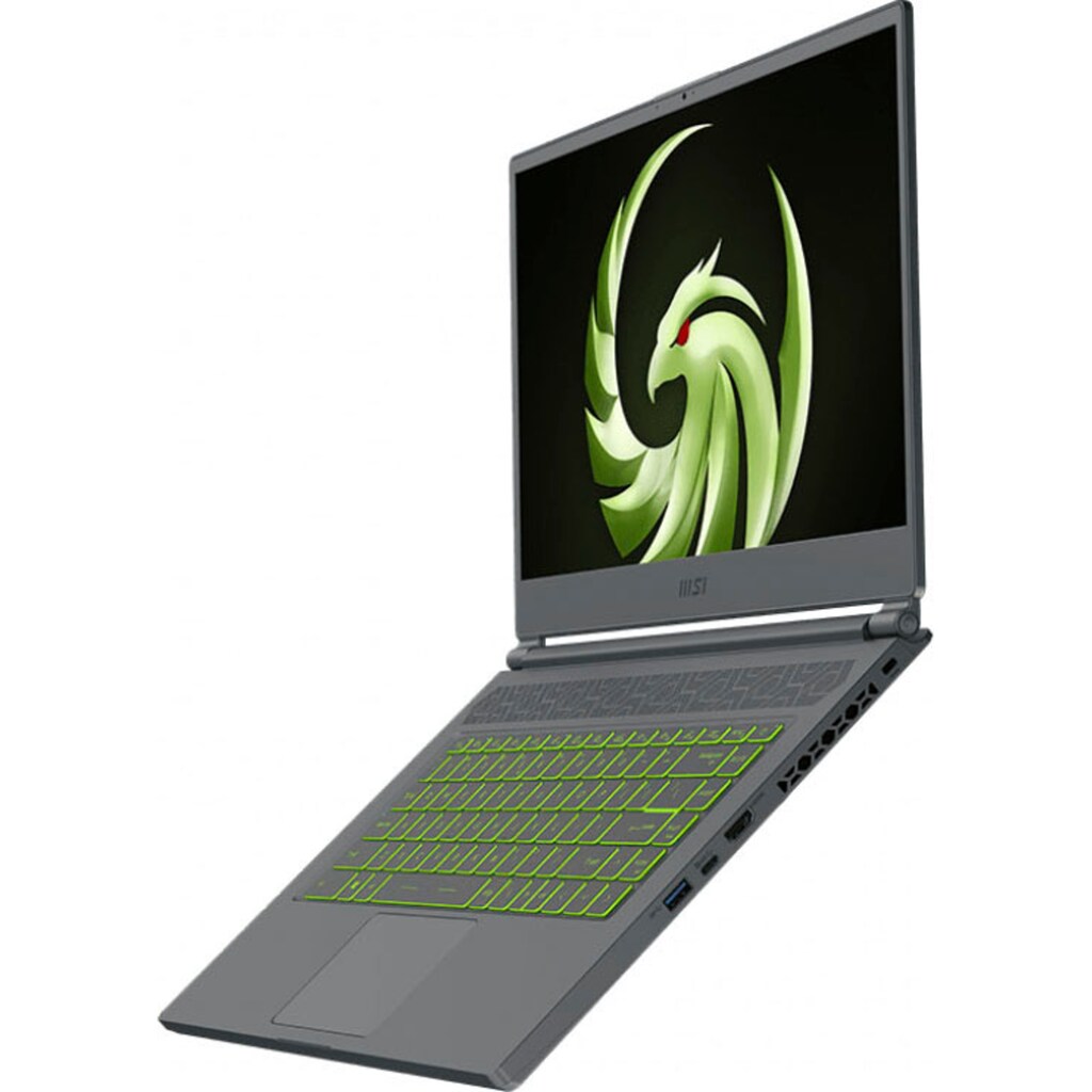 MSI Gaming-Notebook »Delta 15 A5EFK-009 AMD Advantage™ Edition«, 39,6 cm, / 15,6 Zoll, AMD, Ryzen 9, Radeon RX, 1000 GB SSD