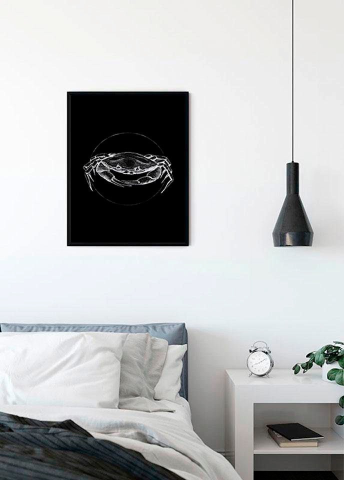 Komar Bild »Crab Black«, Tiere, (1 St.), Wandbild zur Dekoration - ohne Rahmen