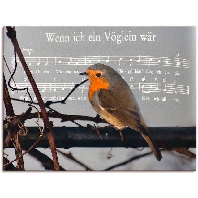 Artland Wandbild »Wenn ich ein Vöglein wär«, Vögel, (1 St.), als  Leinwandbild, Wandaufkleber oder Poster in versch. Größen bestellen | BAUR